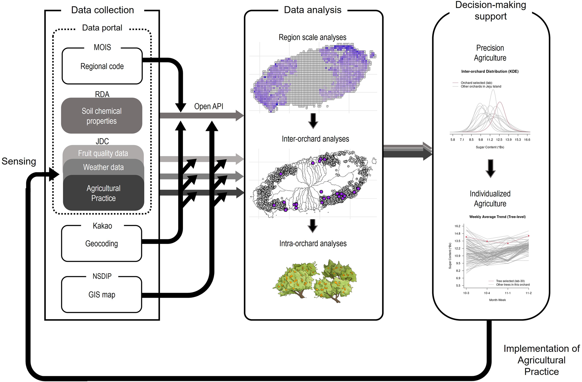 An agricultural digital twin for mandarins demonstrates the potential for  individualized agriculture | Nature Communications