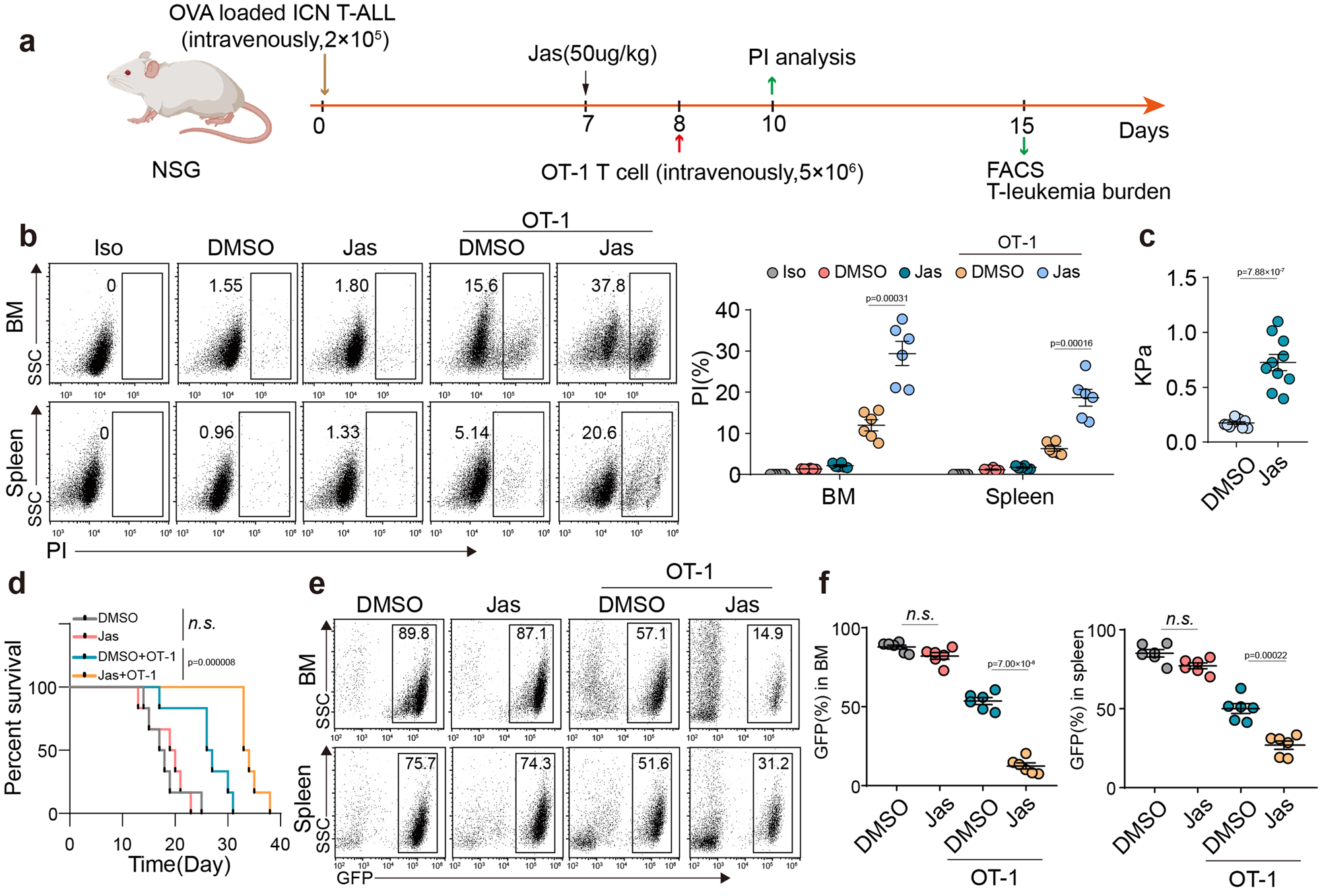 Fig. 6: T-leukemic cells usurp the softness to evade CTL killing in vivo.