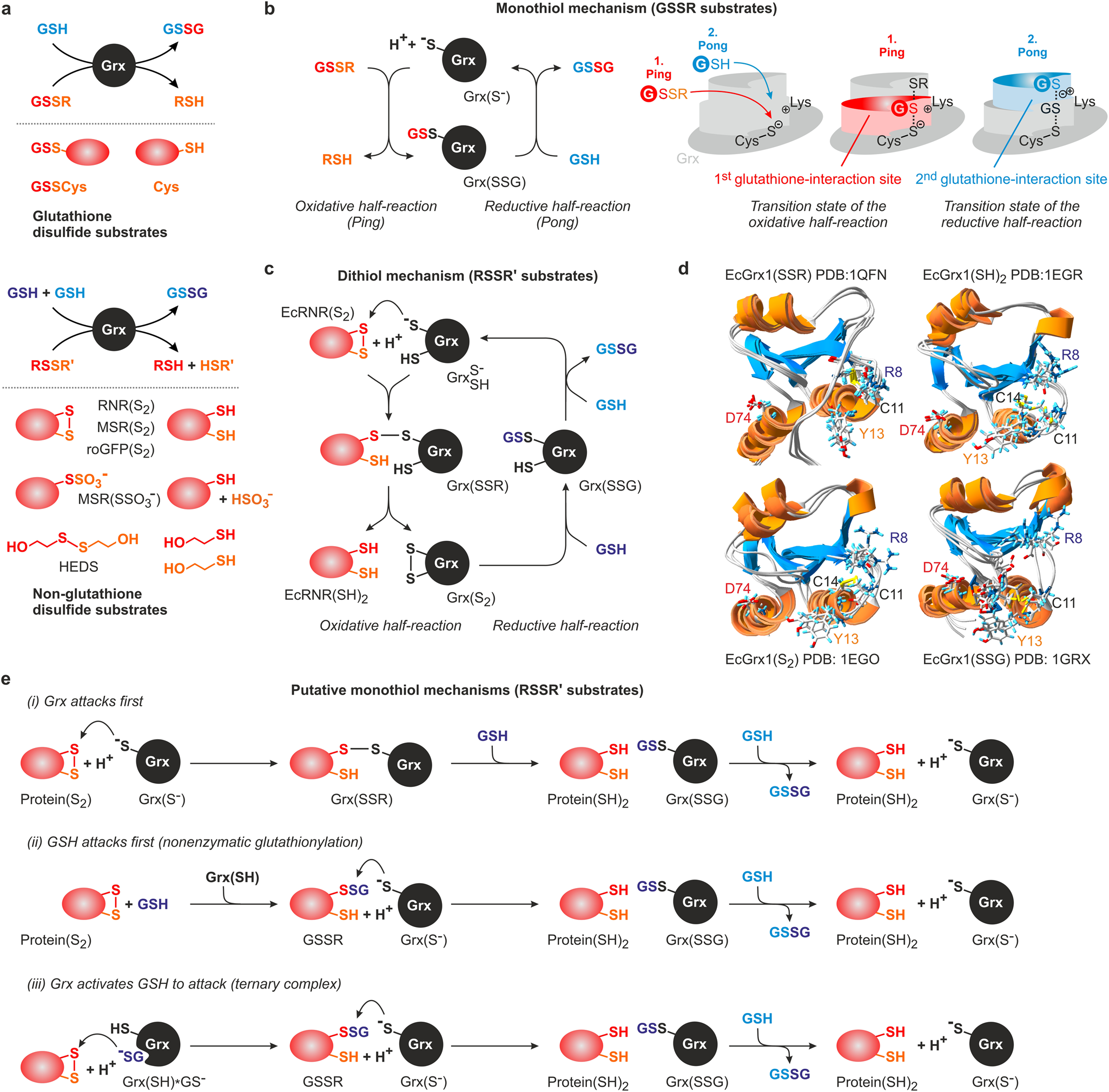Trx system gsh system (97) 사진