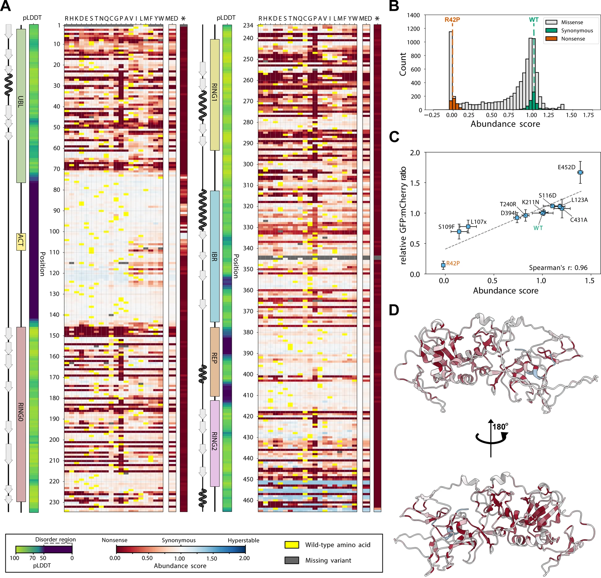 Figure 2 - A variant Effect Map of Parkin protein abundance