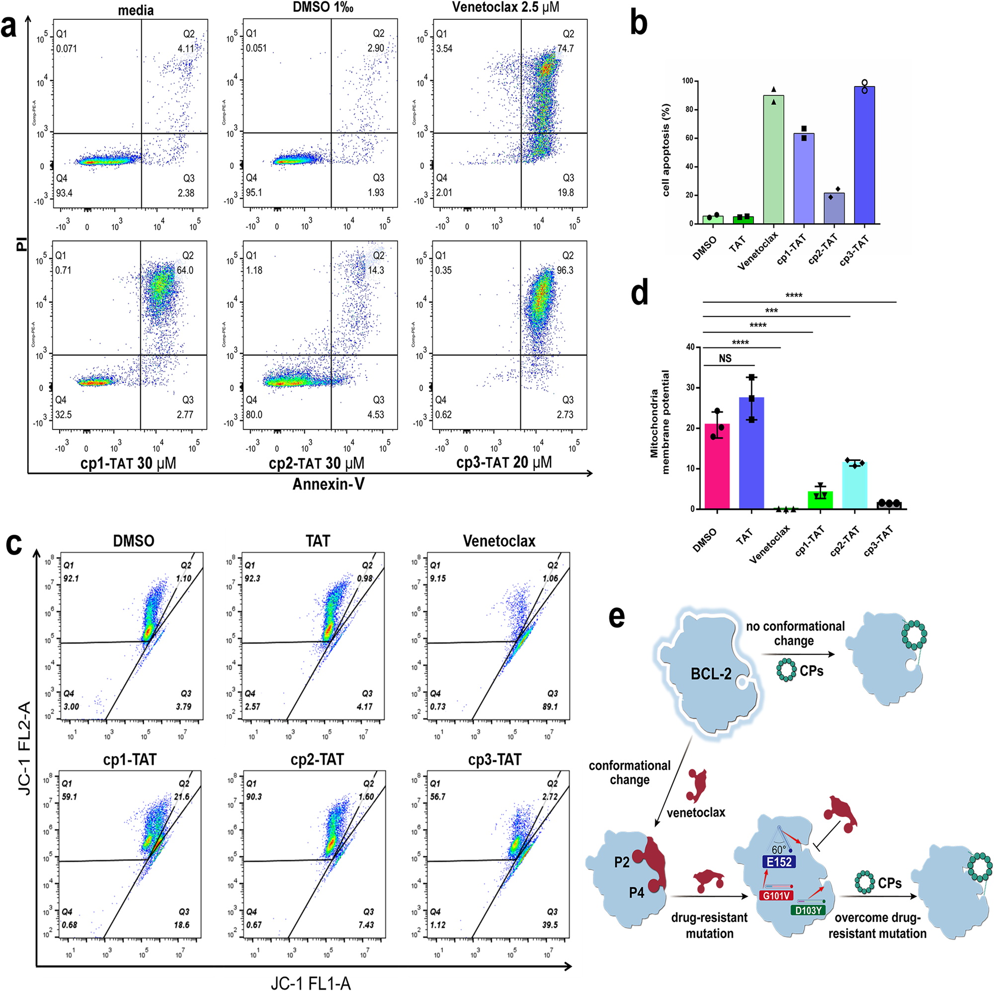 Fig. 6: The pro-apoptotic mechanism of CPs in killing tumor cells.