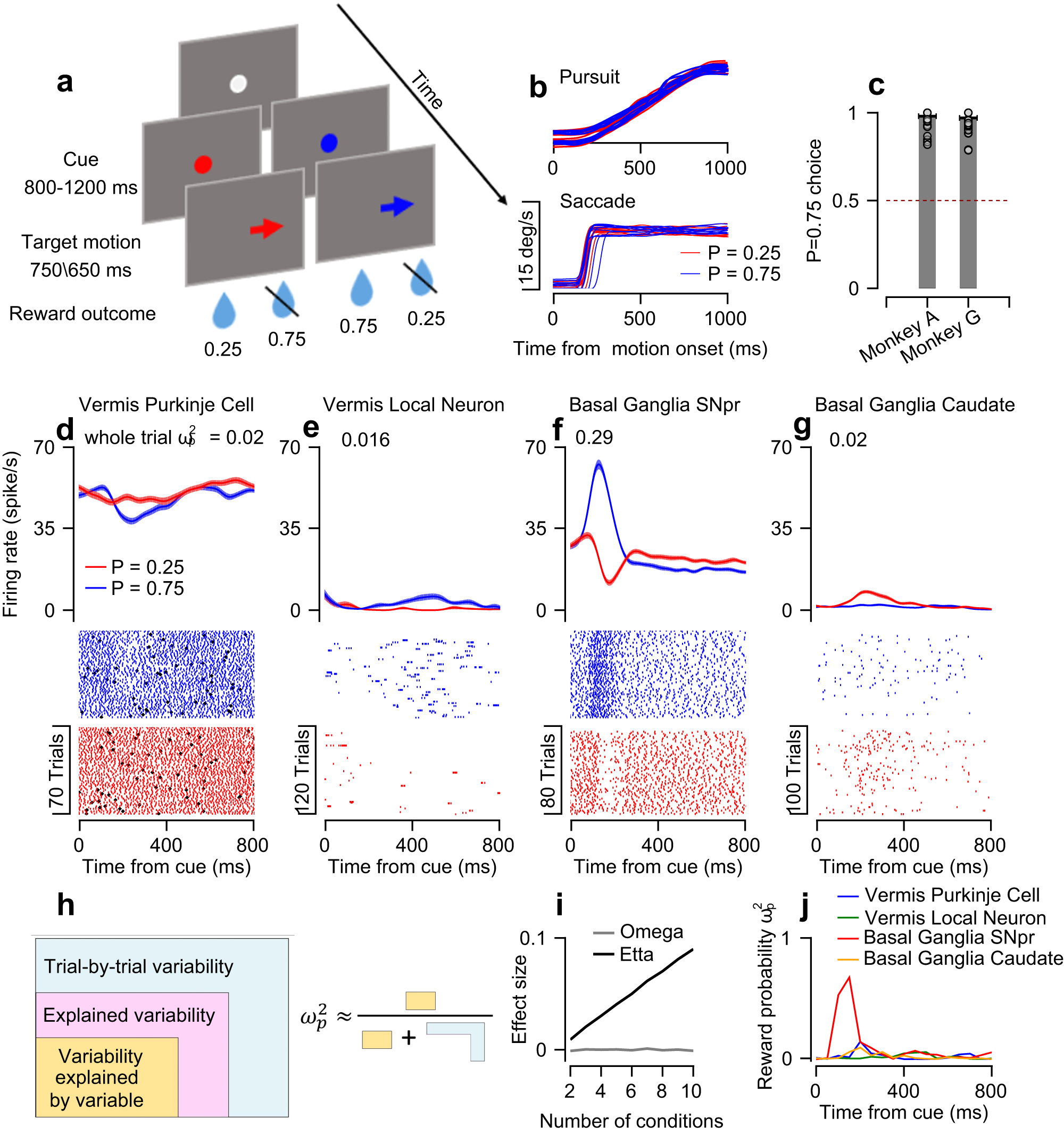 Fig. 1: Effect size analysis to quantify the coding of reward probability on a trial-by-trial basis.