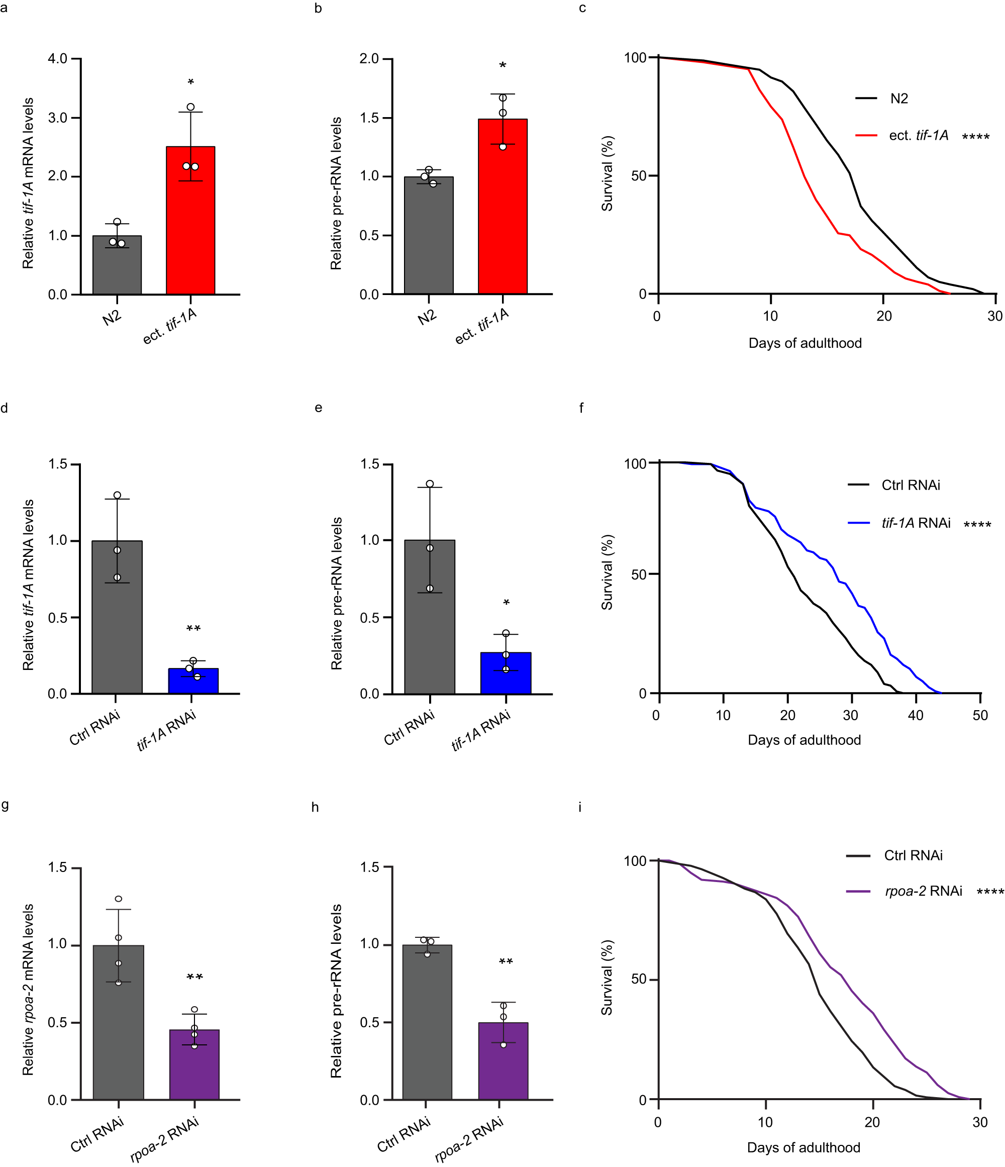 Fig. 1: Attenuation of Pol I activity increases lifespan.