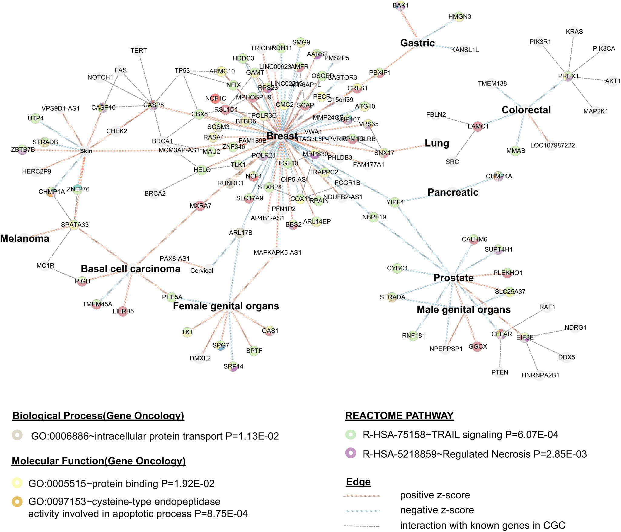 Fig. 6: Newly identified APA-linked cancer susceptibility genes are enriched in metabolic reprogramming and apoptosis-related pathways.