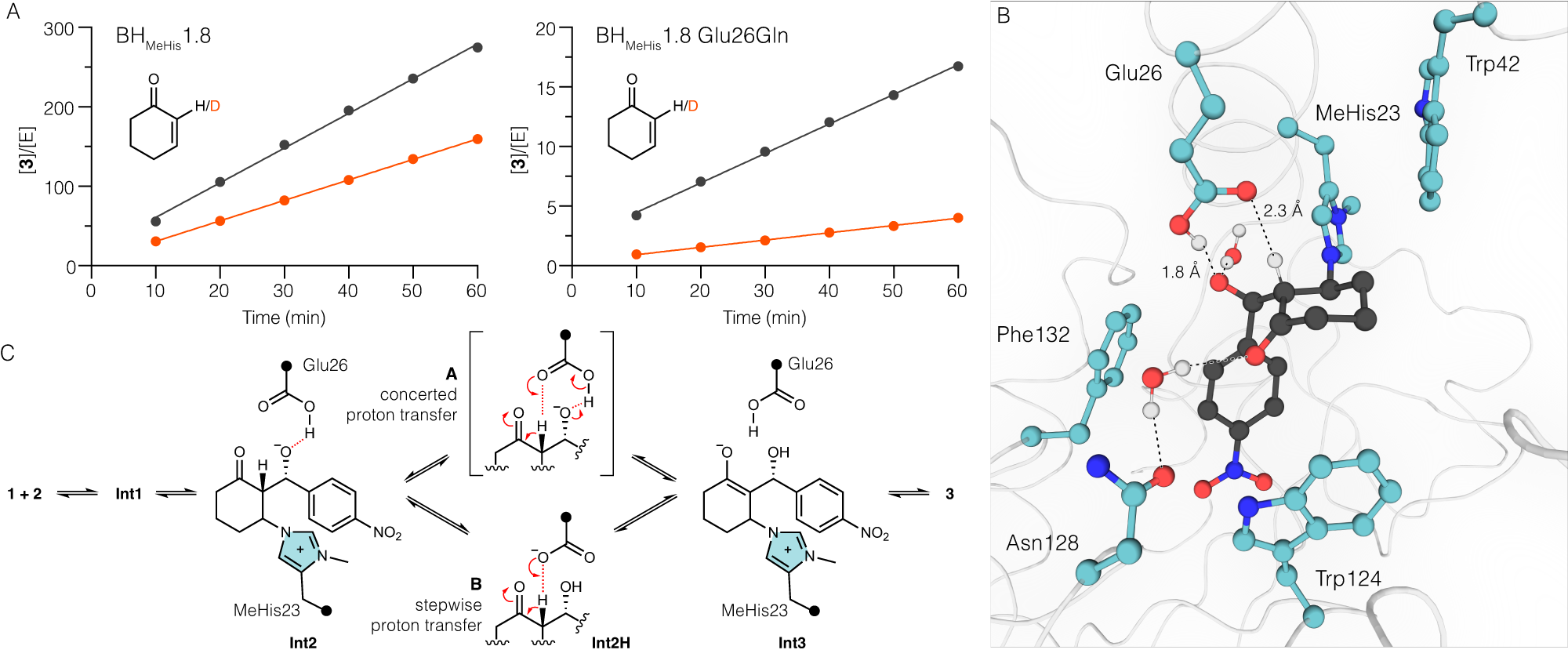 Fig. 4: Investigation of the catalytic mechanism of BHMeHis1.8.