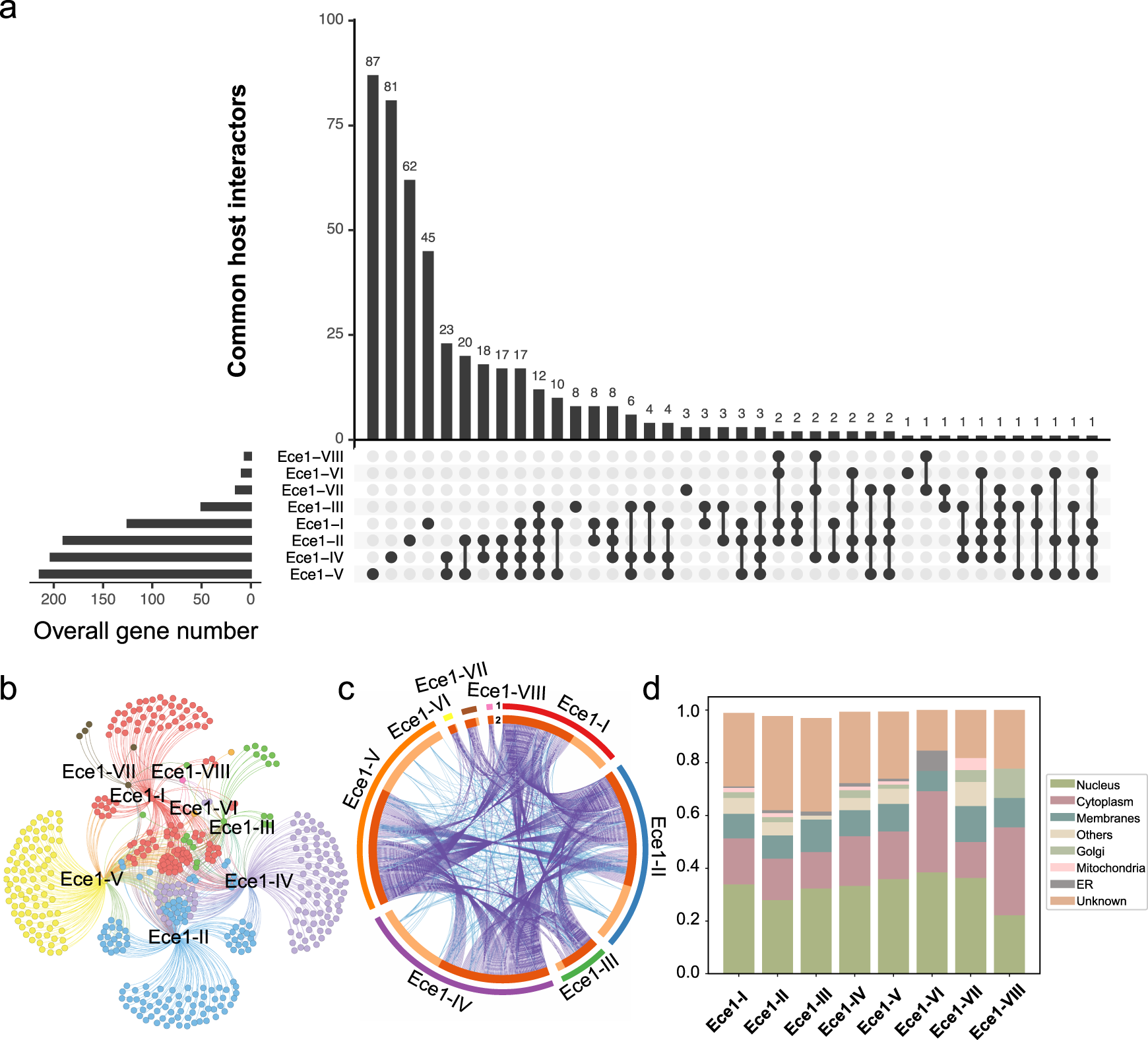 Fig. 2: Global interactome between human and Ece1-derived peptides.