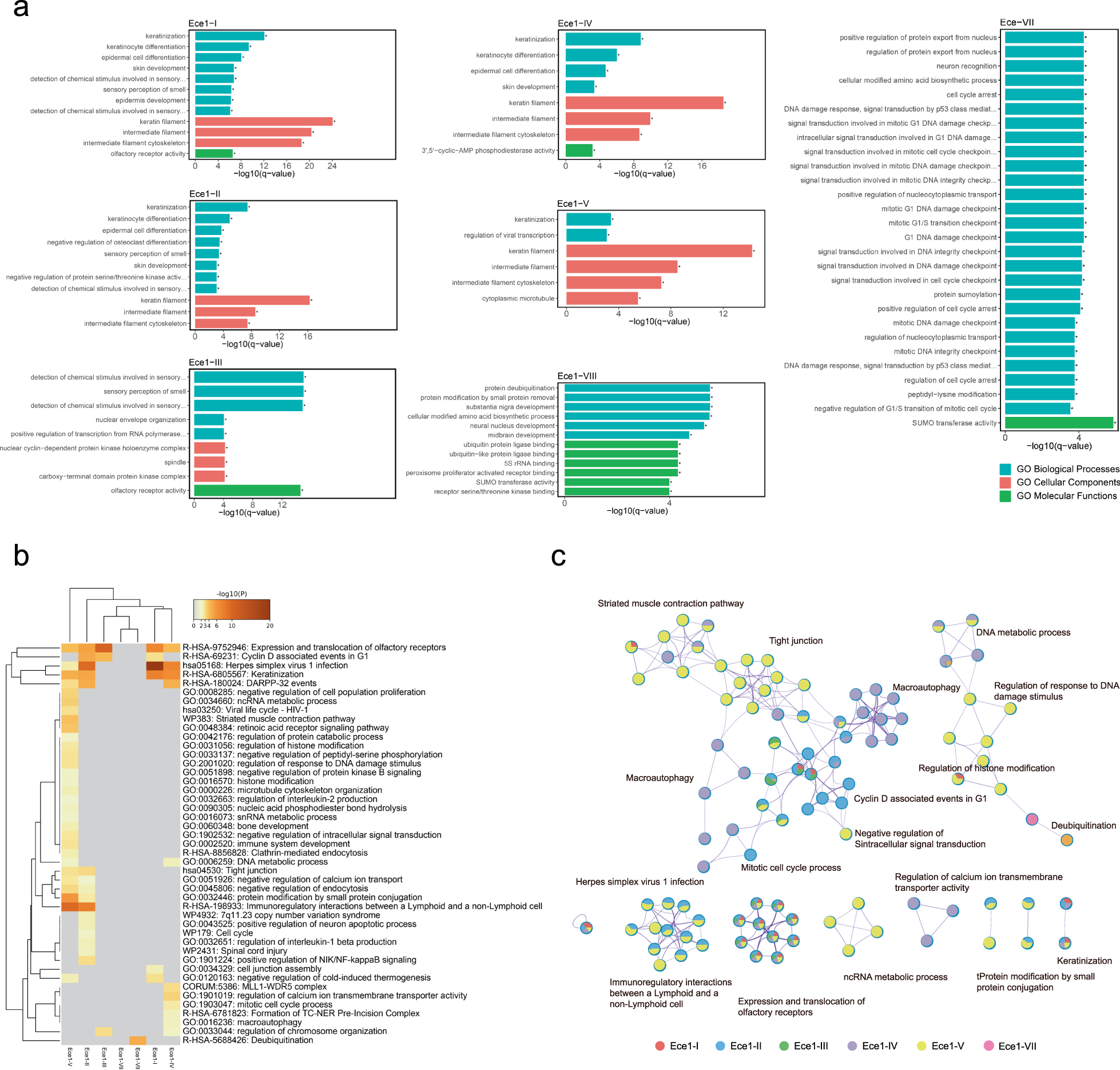 Fig. 3: Functional analysis of interactions between each Ece1 peptide and the human ORFeome.