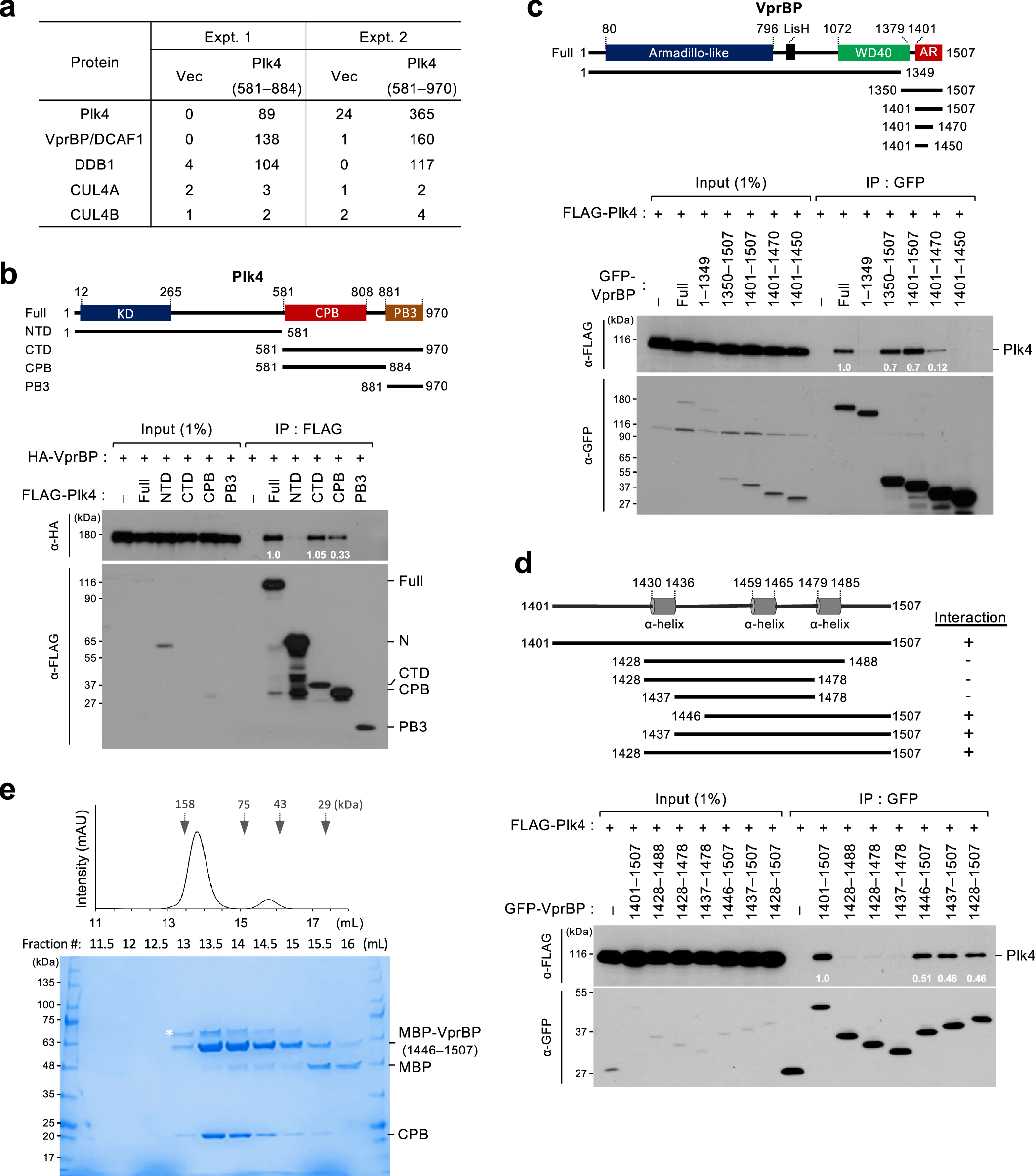 Fig. 2: Direct interaction between VprBP AR and Plk4 CPB.