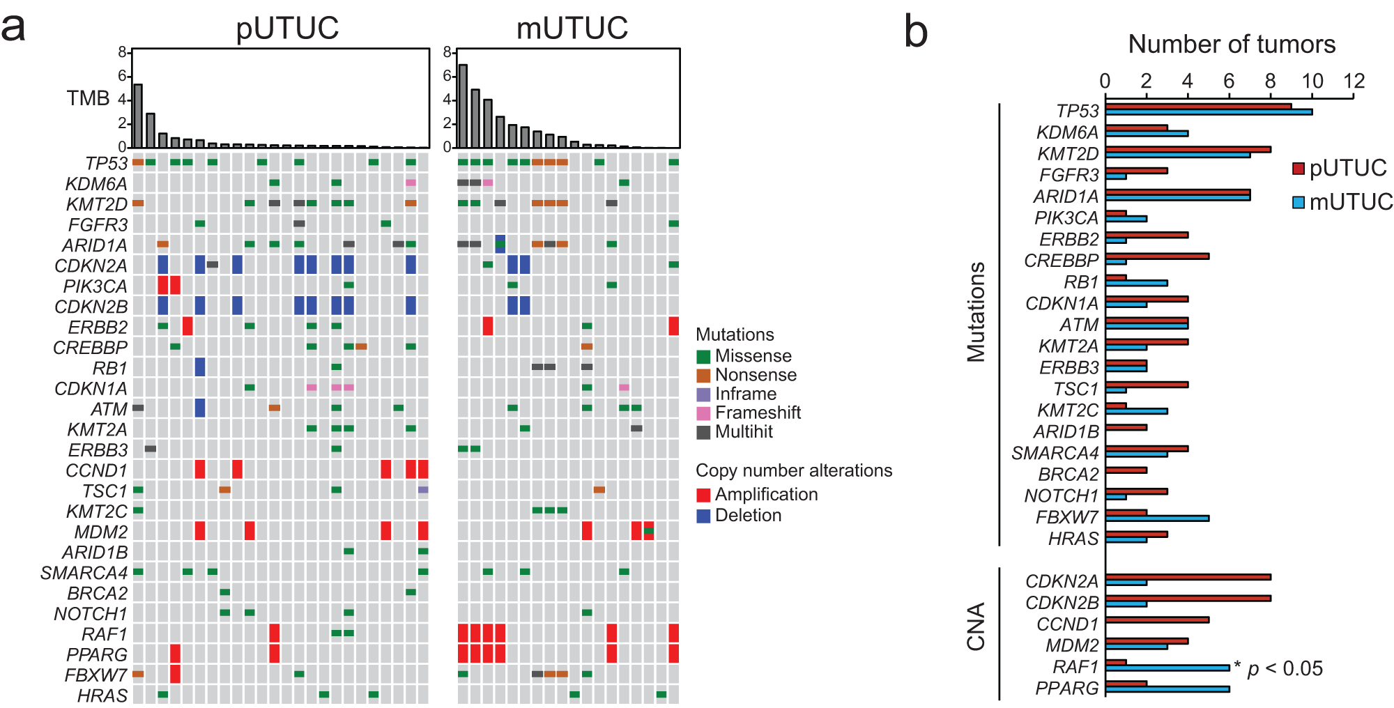 Fig. 2: Genomic landscape of primary and metastatic UTUC.