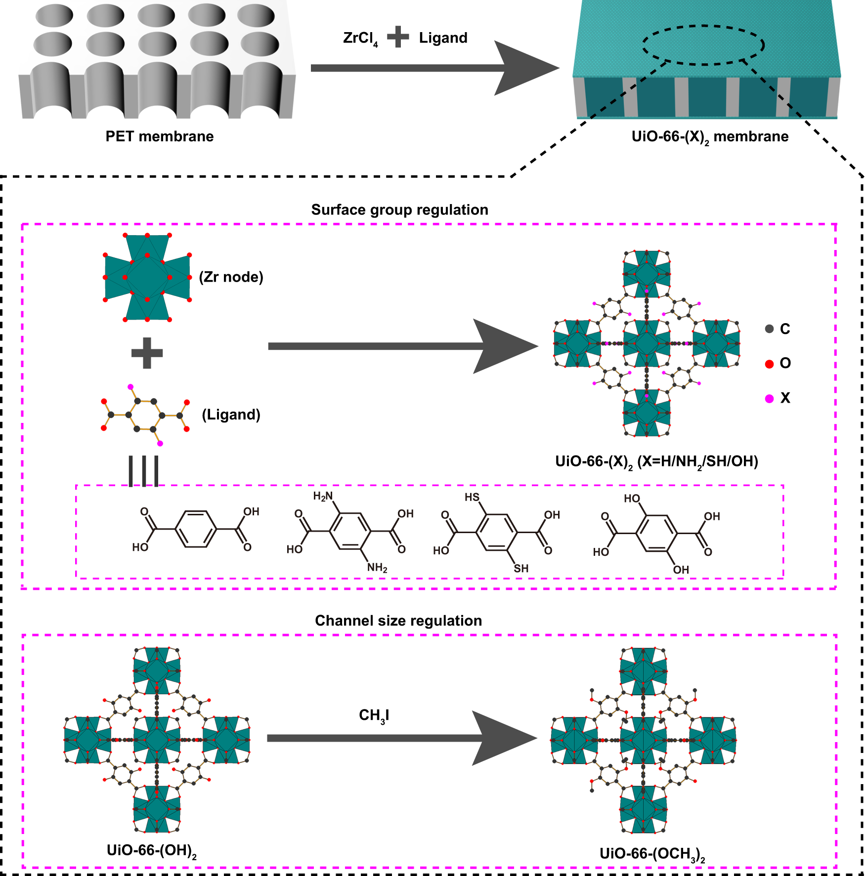 Fig. 1: Membrane fabrication.