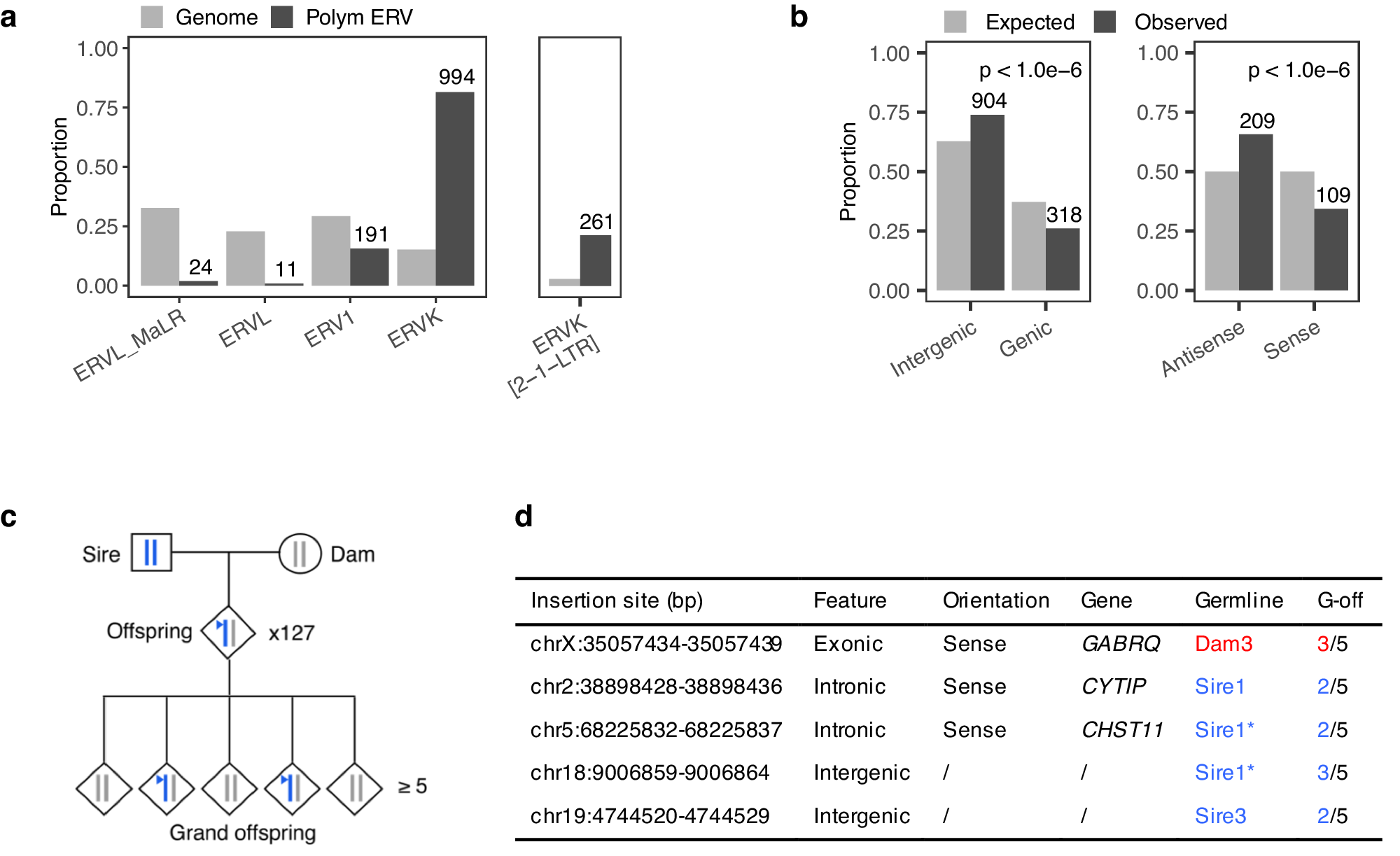Fig. 2: Detection of polymorphic ERVs and de novo ERV mobilization events in the Damona pedigree.
