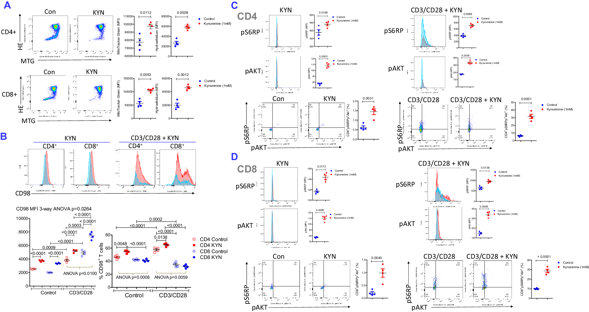 Fig. 6: Contrasting effects of KYN on activation of mTORC1 and mTORC2, expression of CD98 and relative abundance of primary CD4+ and CD8 mouse T+ cells.