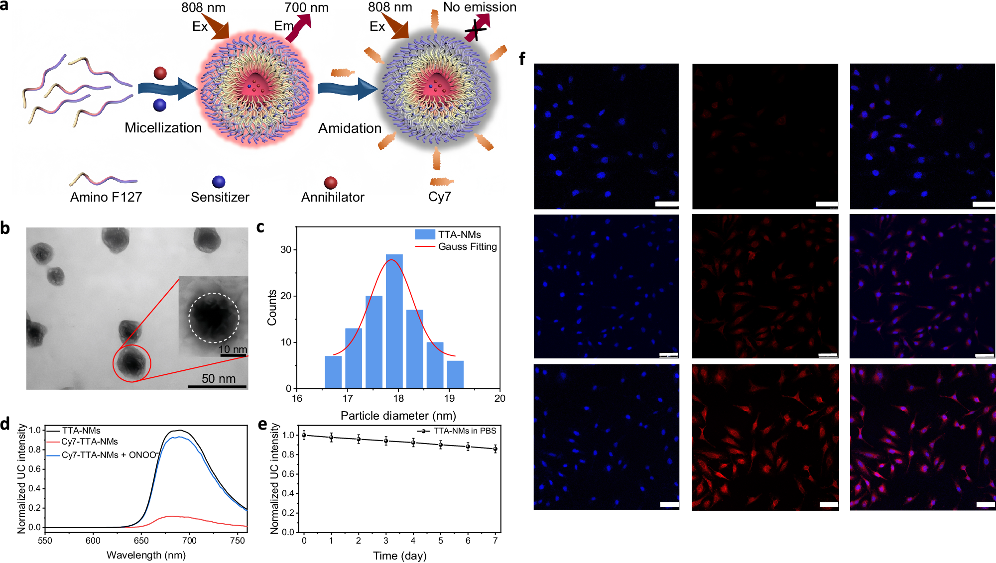 Fig. 4: Design and characterizations of ONOO–-responsive TTA nanomicelles (TTA-NMs).