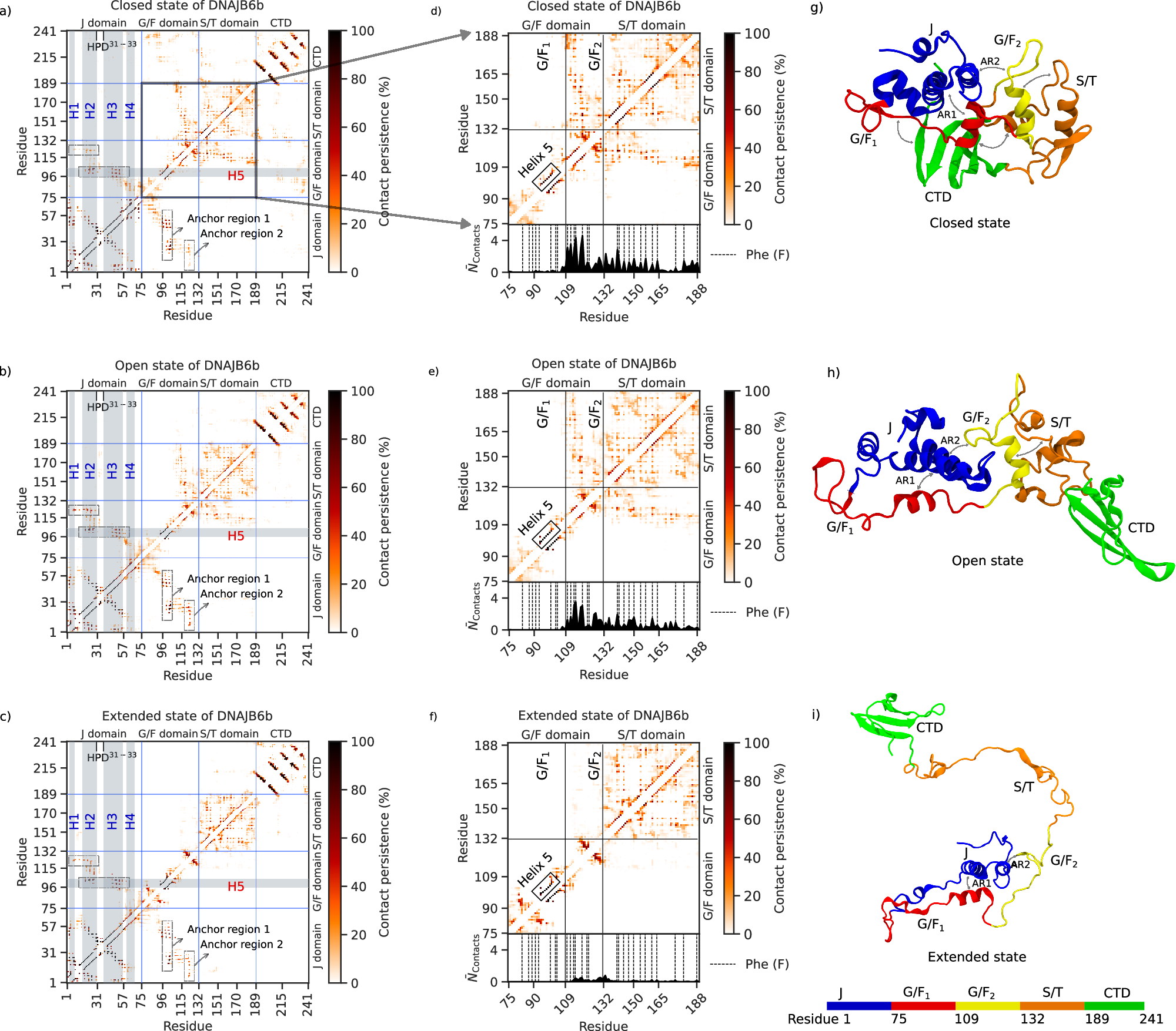 Fig. 2: Contact maps and snapshots of the three different states of DNAJB6b.