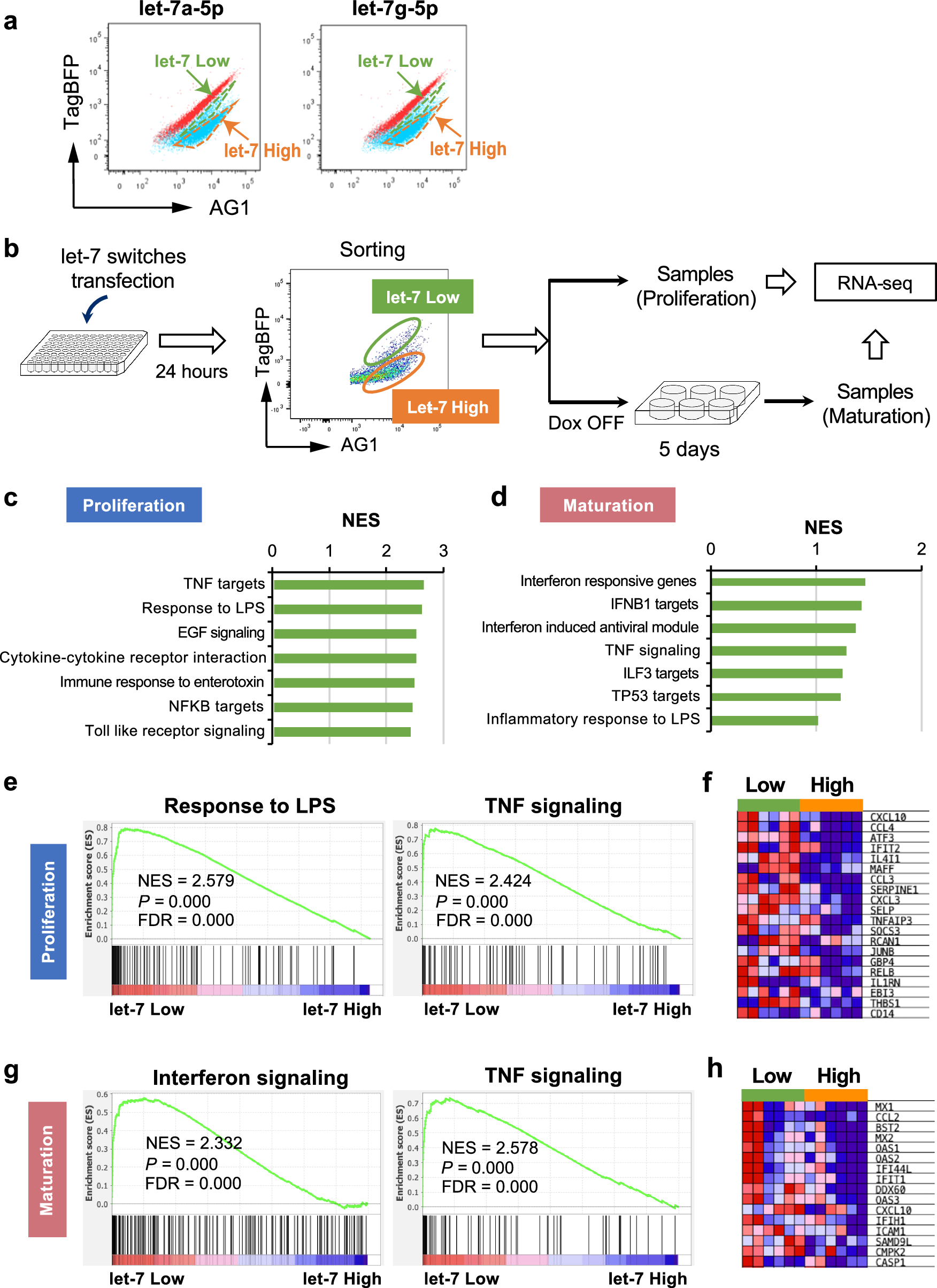 Fig. 2: Let-7 miRNAs enable the identification of immune-skewed imMKCLs.