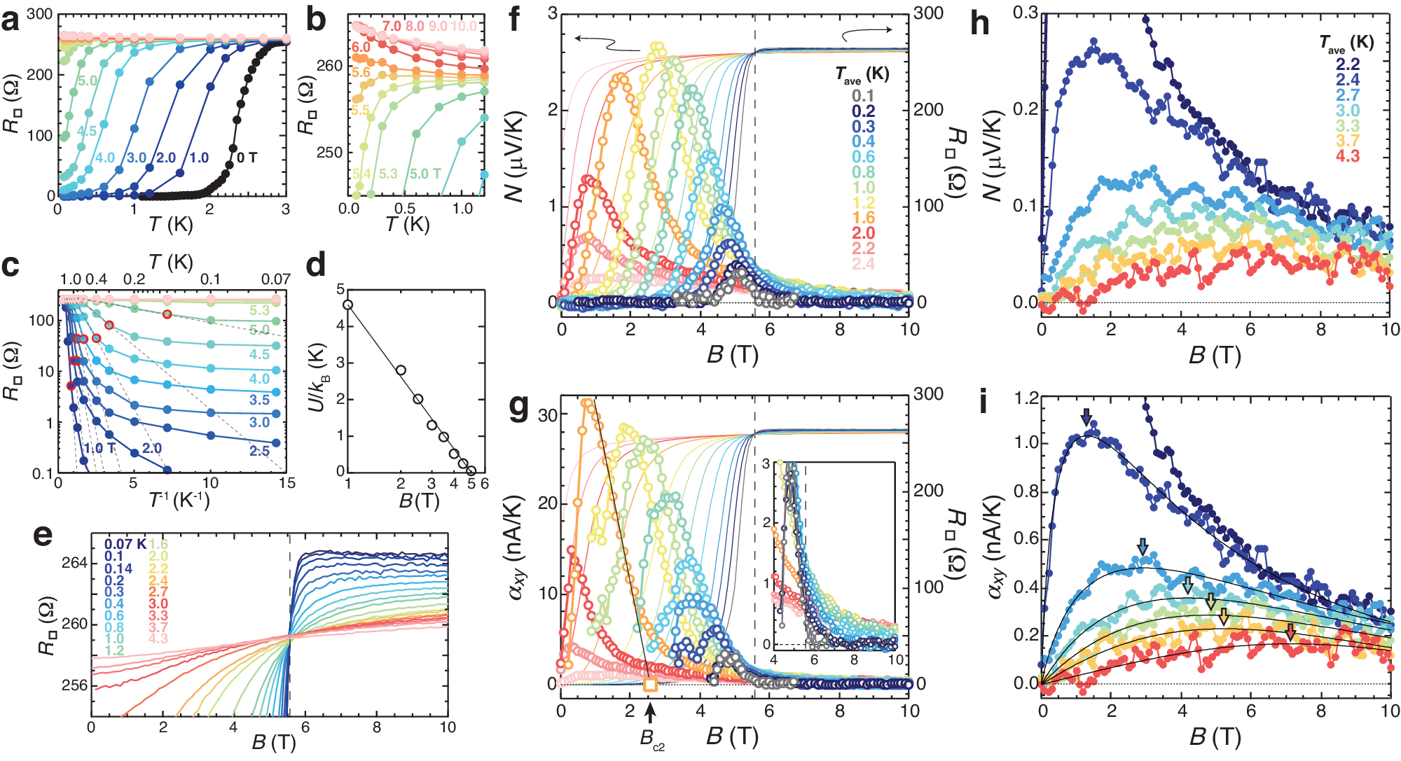 エクストリームディメンションズ1990-1996年用デュラフレックス交換用日産300 ZX Z 32ツインターボルックウイングスポイラー-1本 Tehching Hsieh 1986\u20131999. Thirteen Year Plan (1986, printed 2000