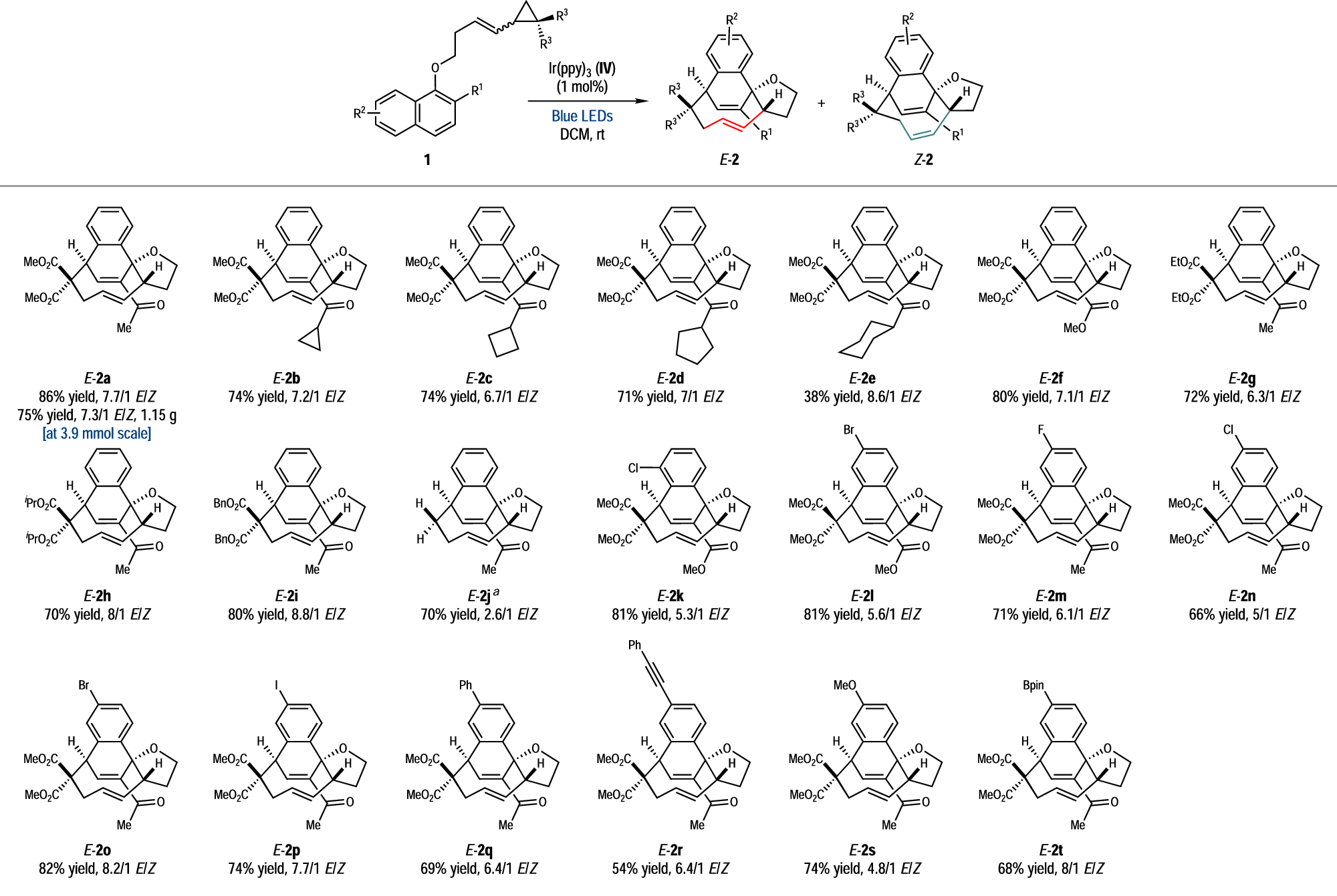 Fig. 3: Substrate Scope.