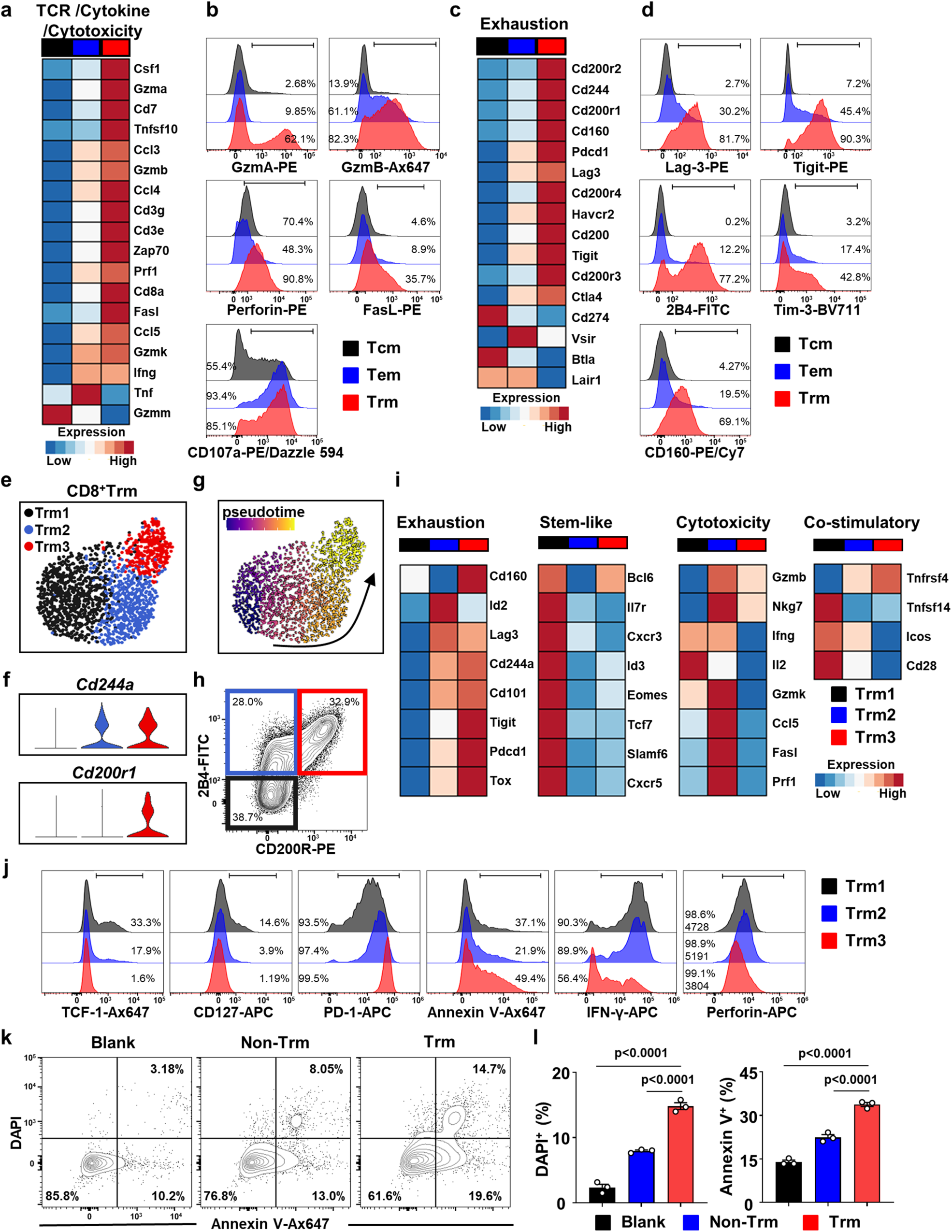 Fig. 3: Liver CD8+ Trm cells from DKO mice exhibit enhanced activation and increased cytotoxicity.