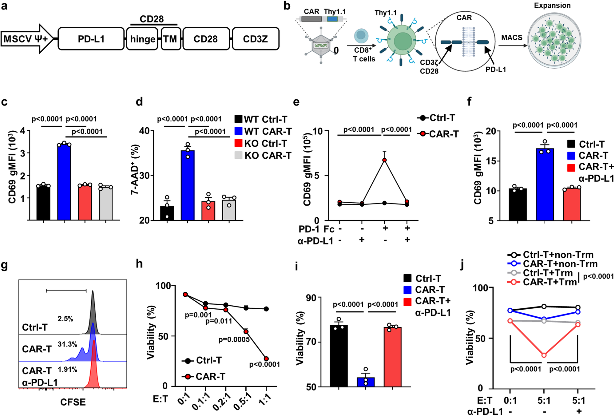 Fig. 5: PD-1 targeting CAR-T cells respond specifically to CD8+ Trm cells.