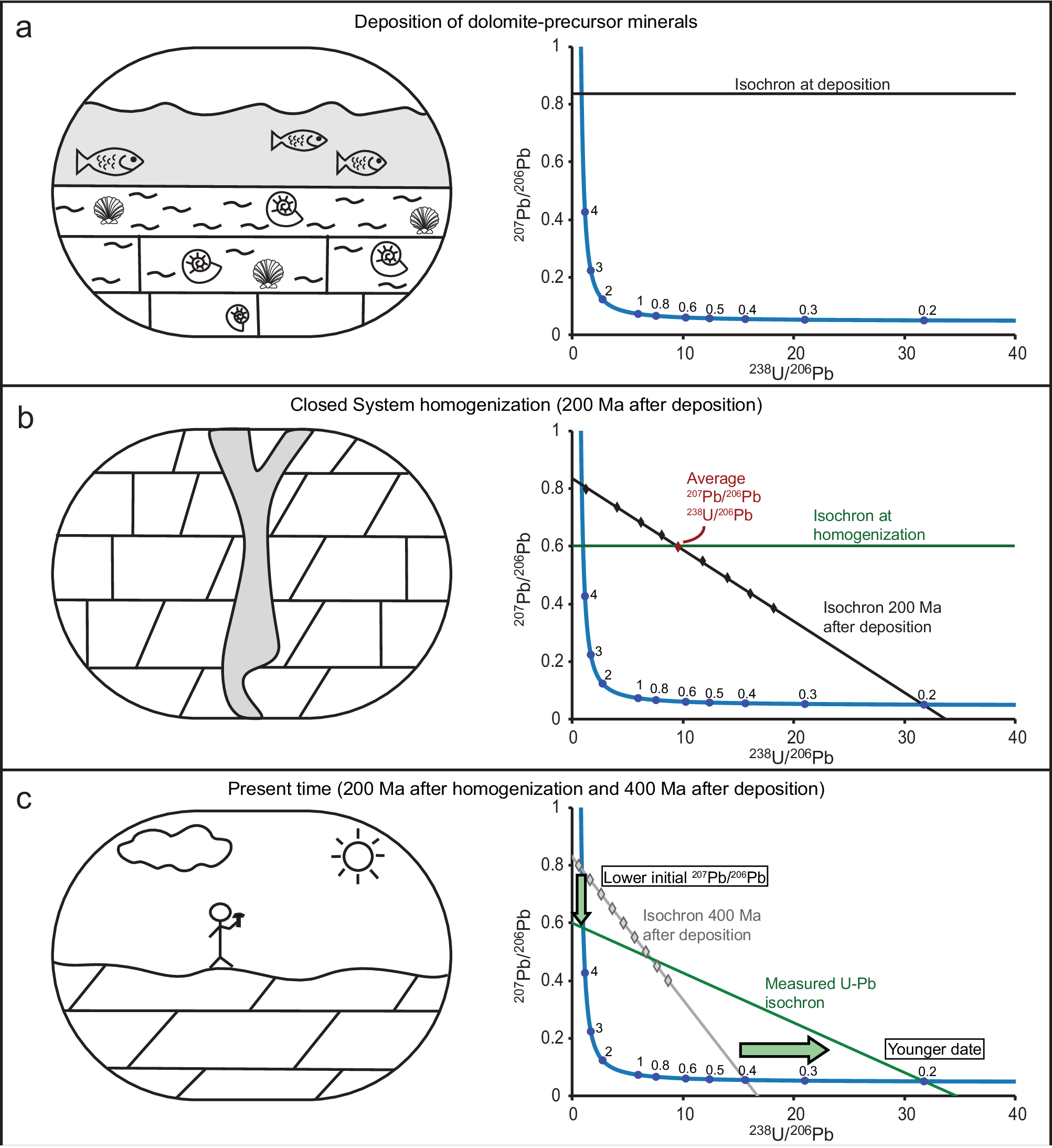 Fig. 2: Proposed stages in the evolution of U–Pb system in dolomite precursor carbonate minerals and dolomite, deposited at 400 Ma and altered at 200 Ma, respectively.