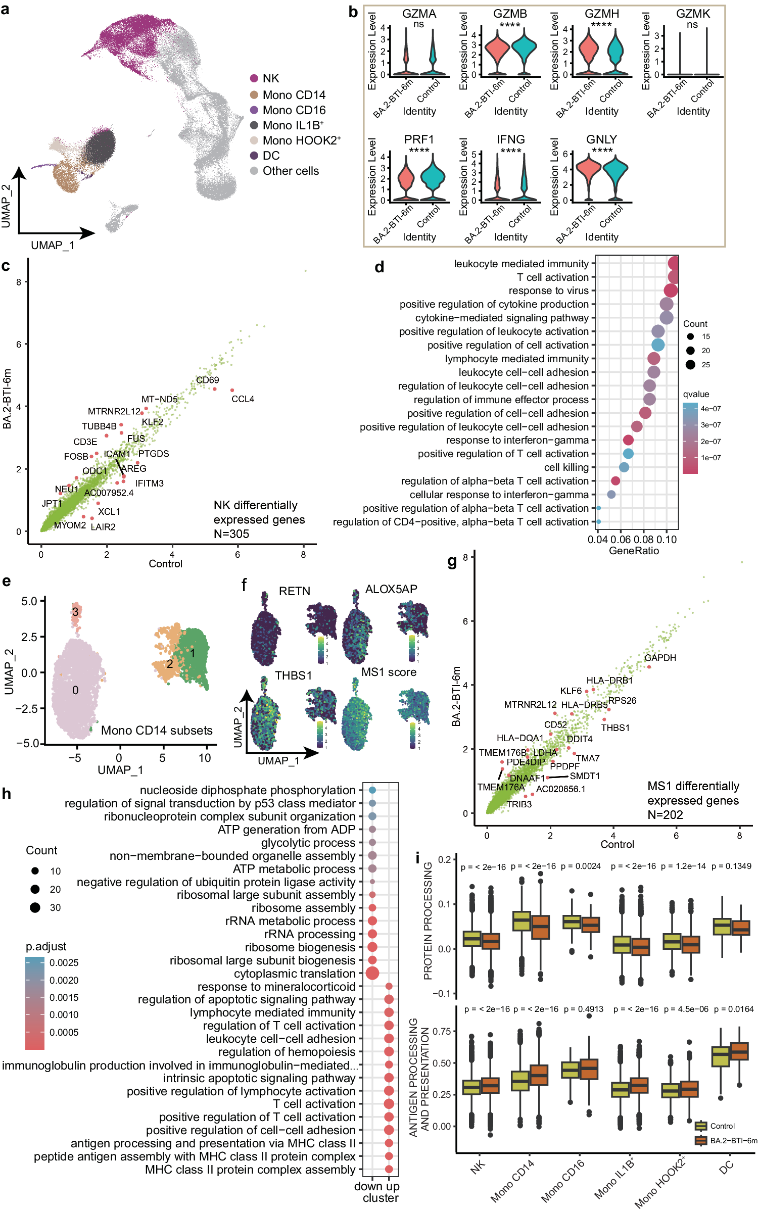 Fig. 5: Single-cell transcriptome sequencing was used to characterize cellular and molecular changes in innate immune cells.