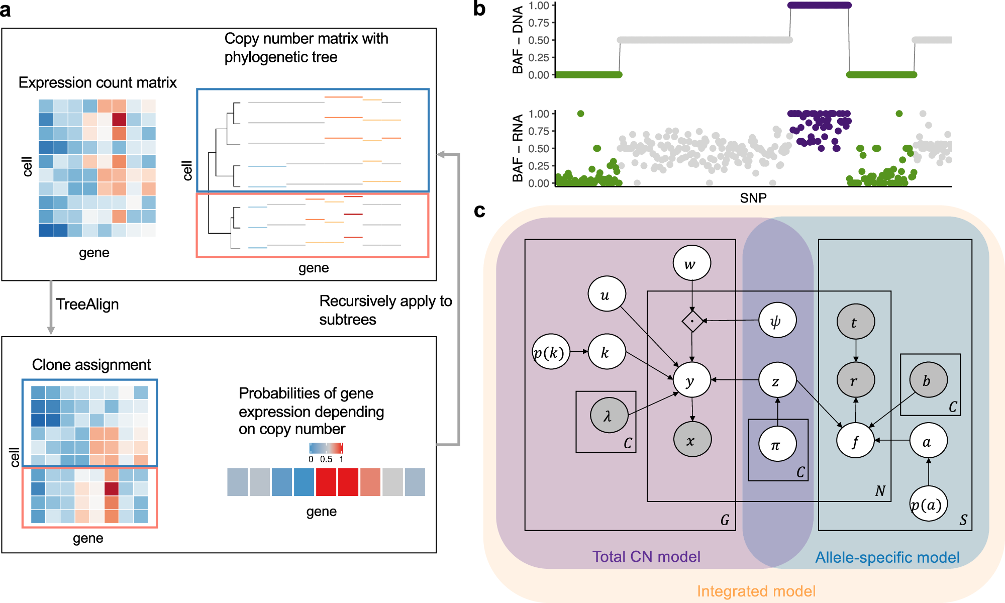 Fig. 1: Overview of TreeAlign.