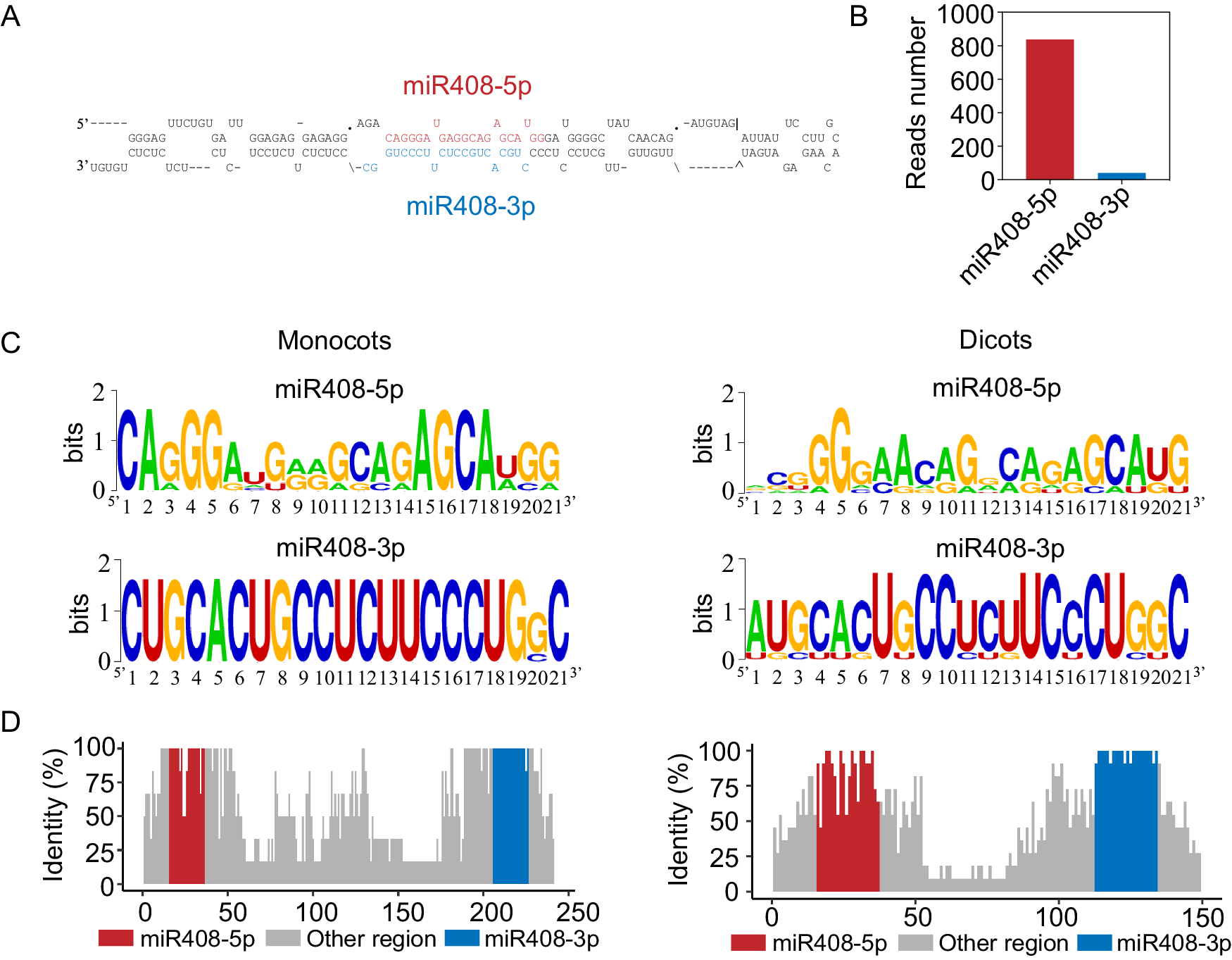 Fig. 1: Identification and conservation analysis of miR408-5p and miR408-3p in plants.