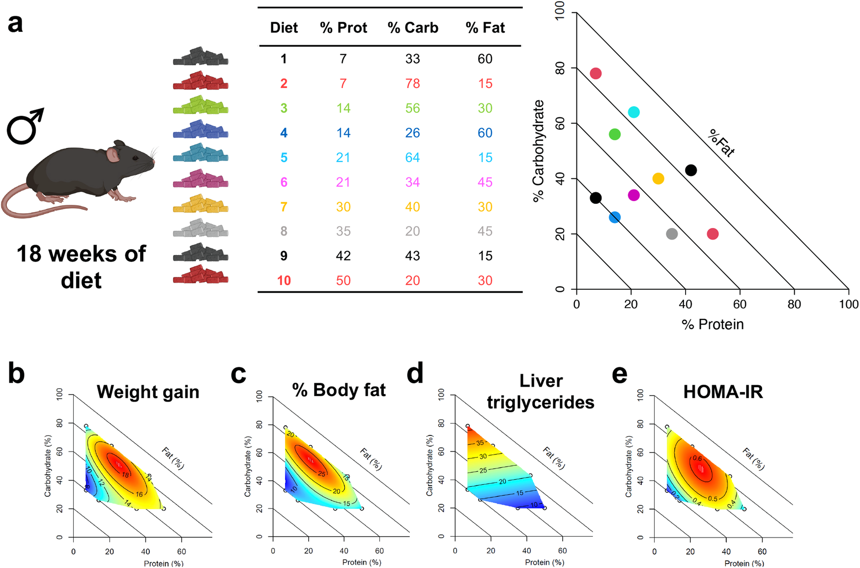 Fig. 1: Impact of paternal diets on F0 metabolic phenotypes.