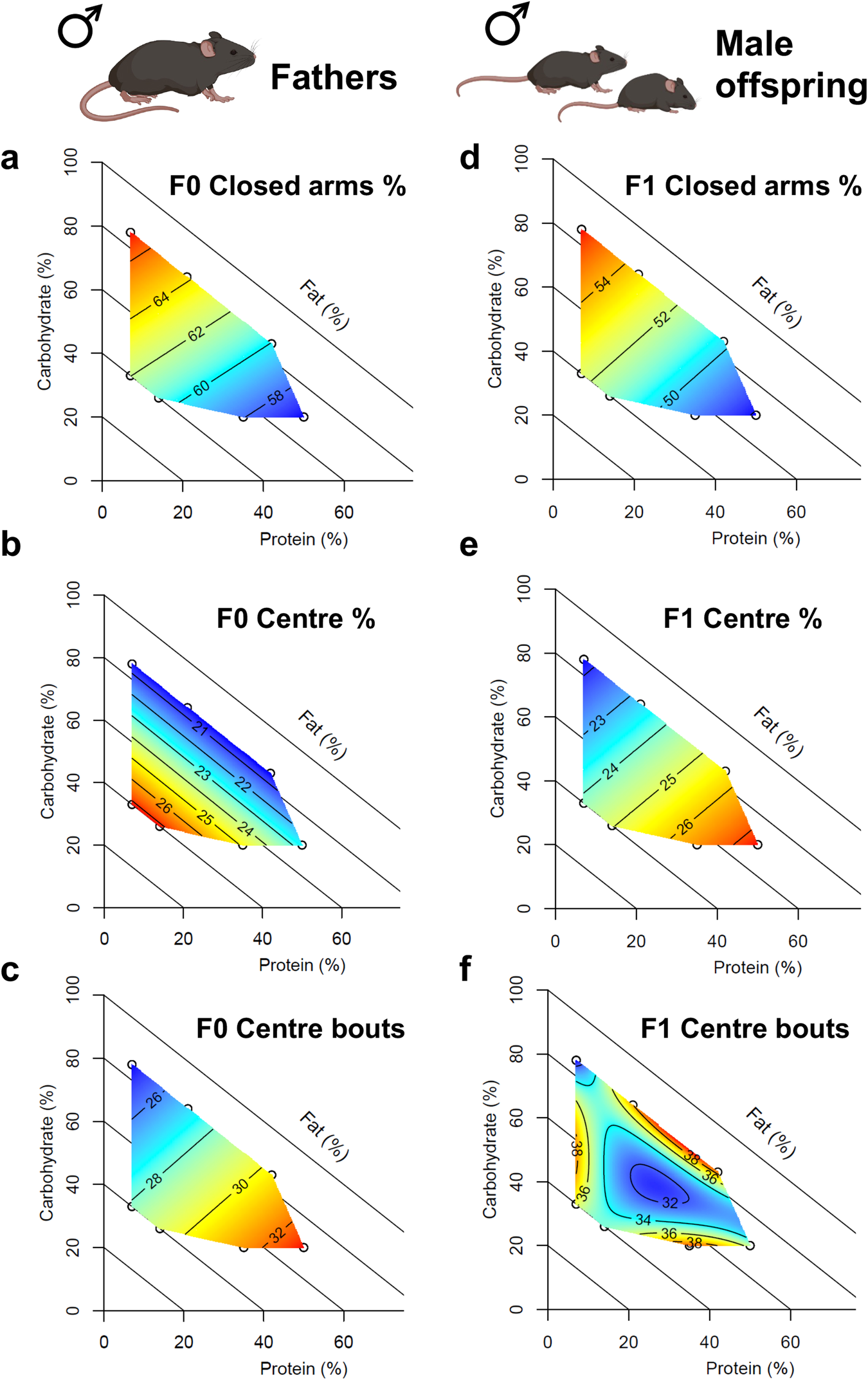 Fig. 3: Comparison of behavioral phenotypes in fathers and male offspring.