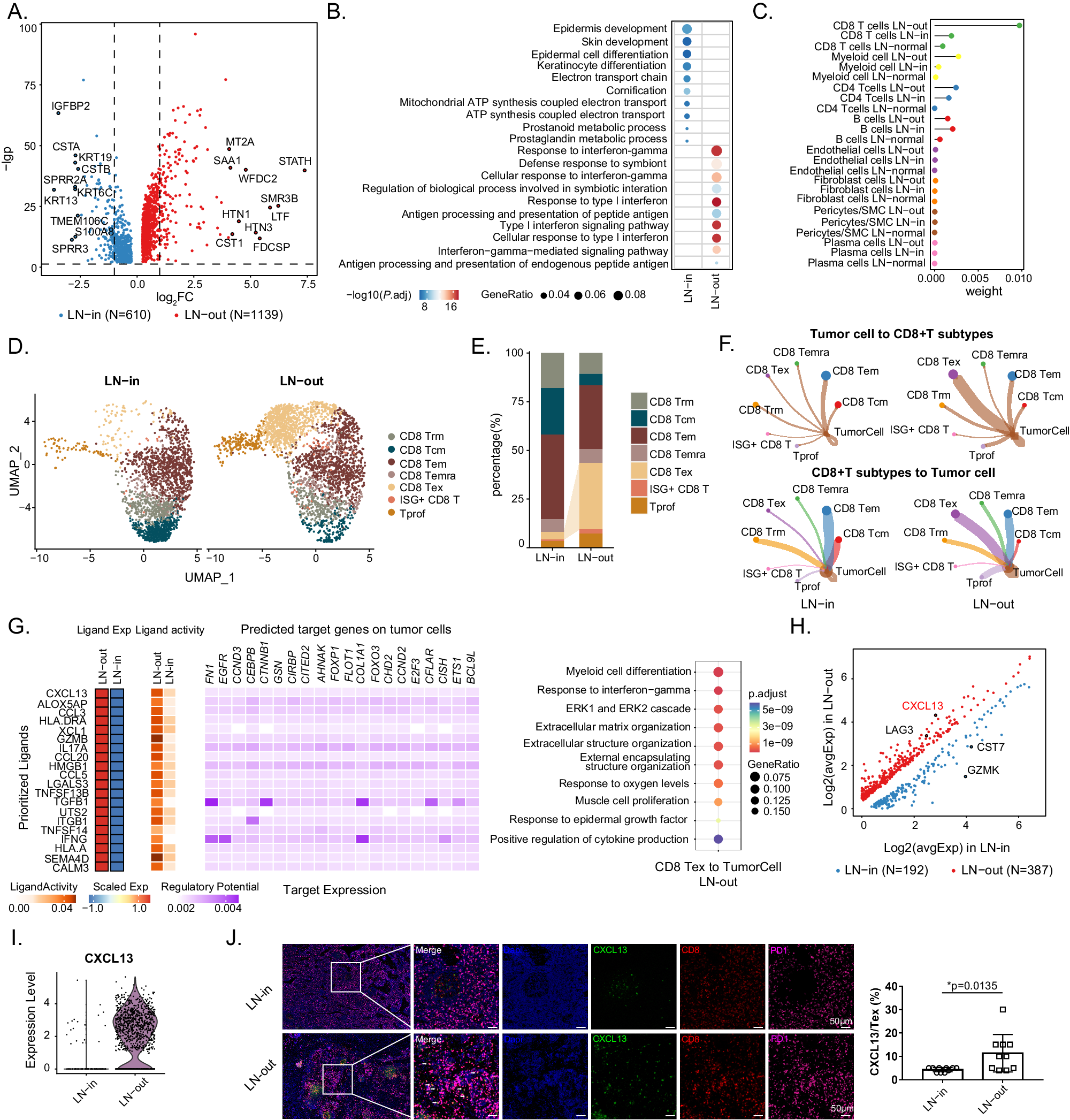 Fig. 5: Tumor cell reprogramming by exhausted CD8+ T during extracapsular metastasis.