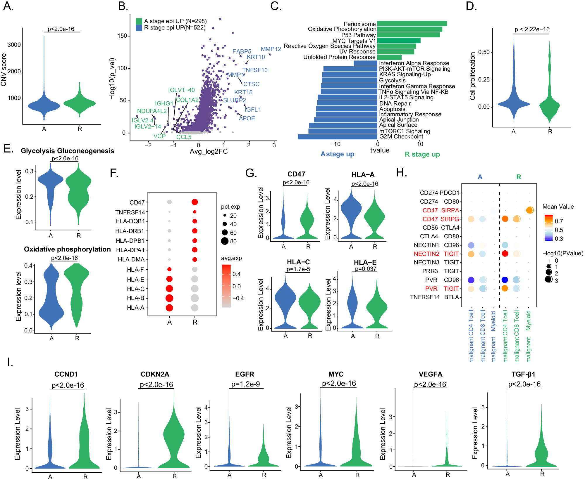 Fig. 6: Characteristics of malignant epithelial cells in recurrent tumors.