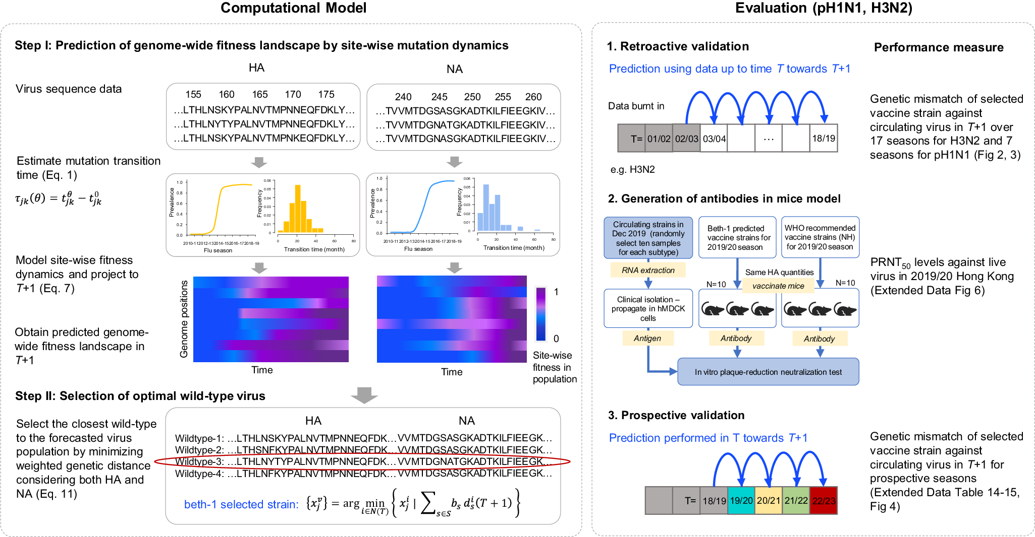 Fig. 1: Overview of the computational model and study design.