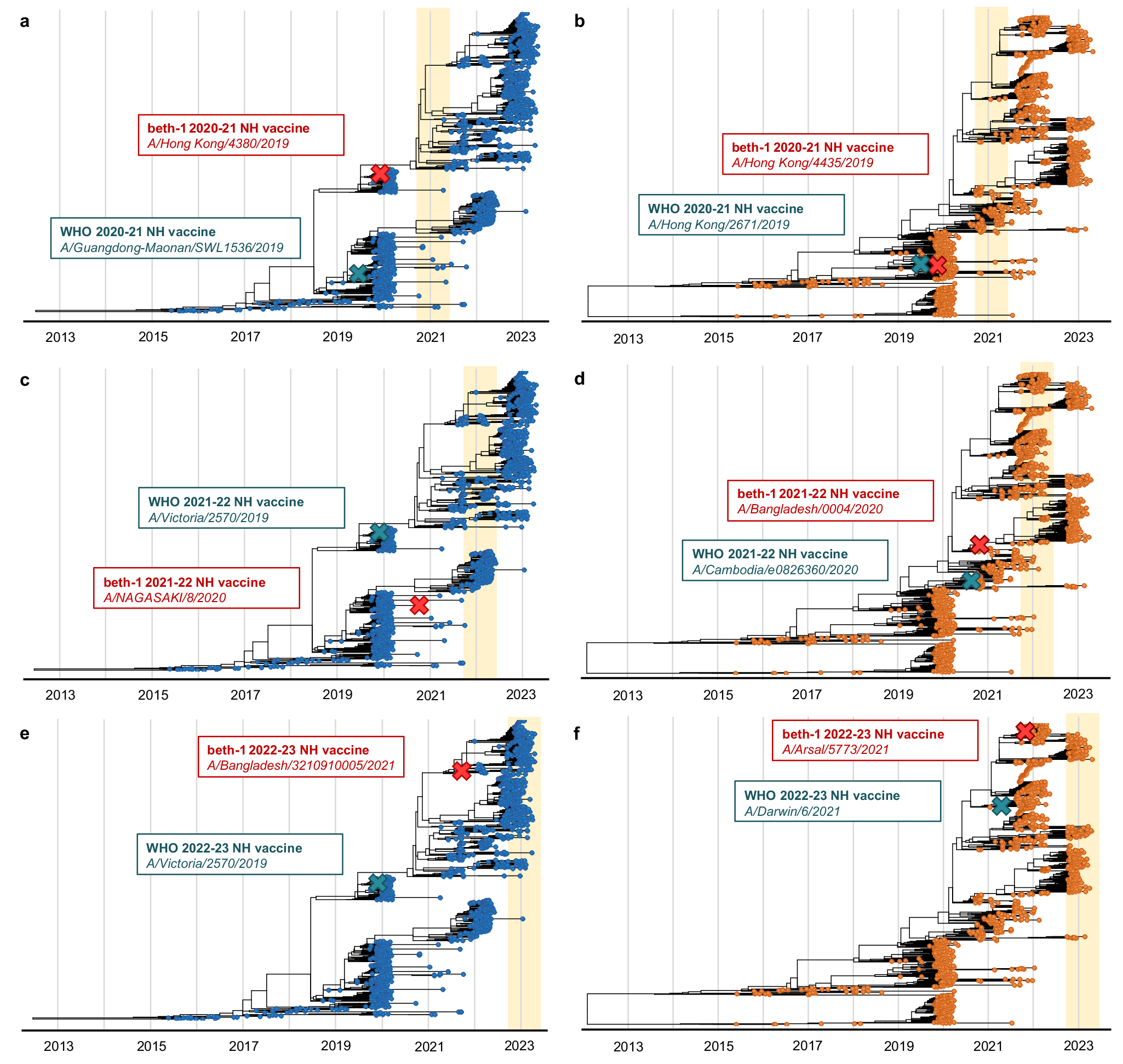 Fig. 4: Prospectively predicted strains on phylogenetic tree from 2020/21 to 2022/23.