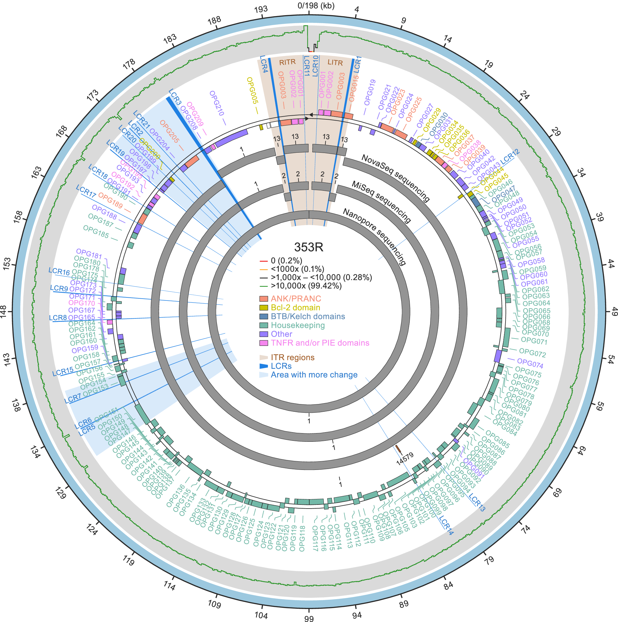 Fig. 1: De novo assembly of subclade IIb lineage B.1 monkeypox virus (MPXV) genome sequence 353R.