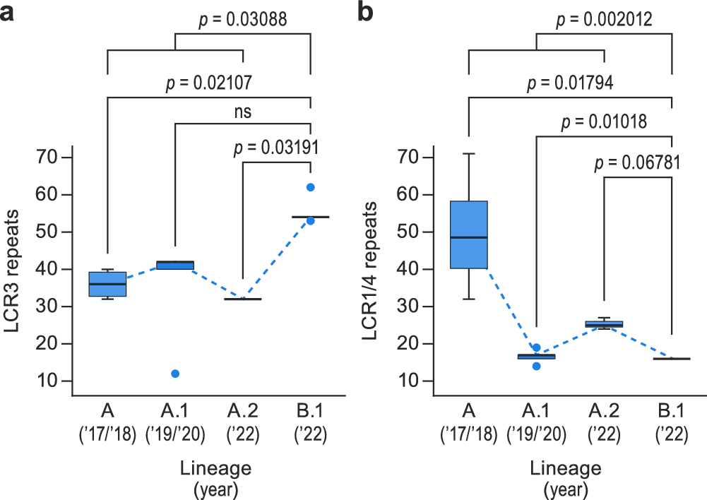 Fig. 2: Characterization and validation of non-randomly distributed low-complexity regions (LCRs) in monkeypox virus (MPXV) genome sequence 353R.