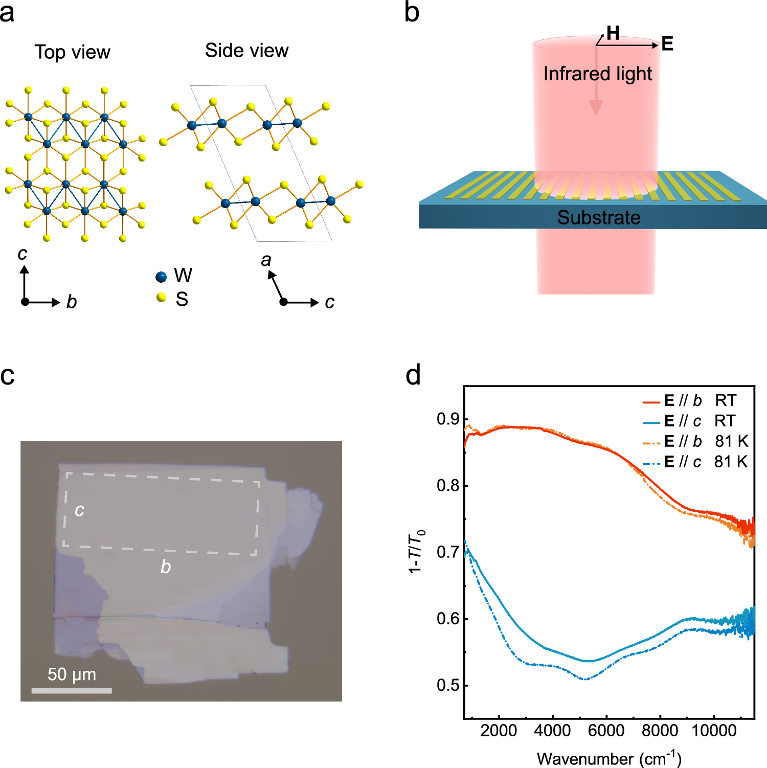 Fig. 1: Characterization of a typical 2M-WS2 film.