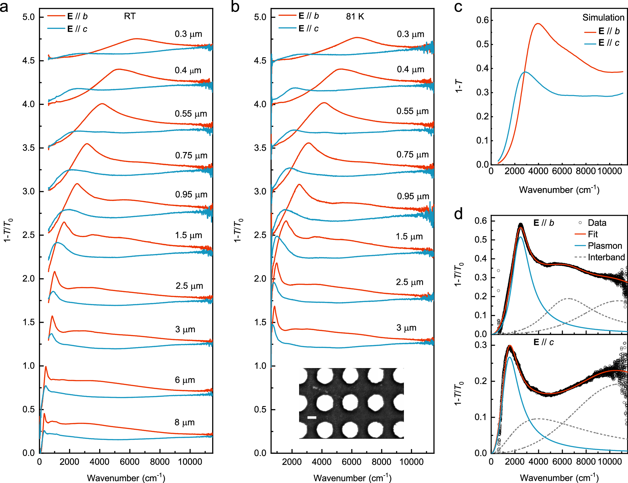 Fig. 2: Plasmons in 2M-WS2 disk arrays.