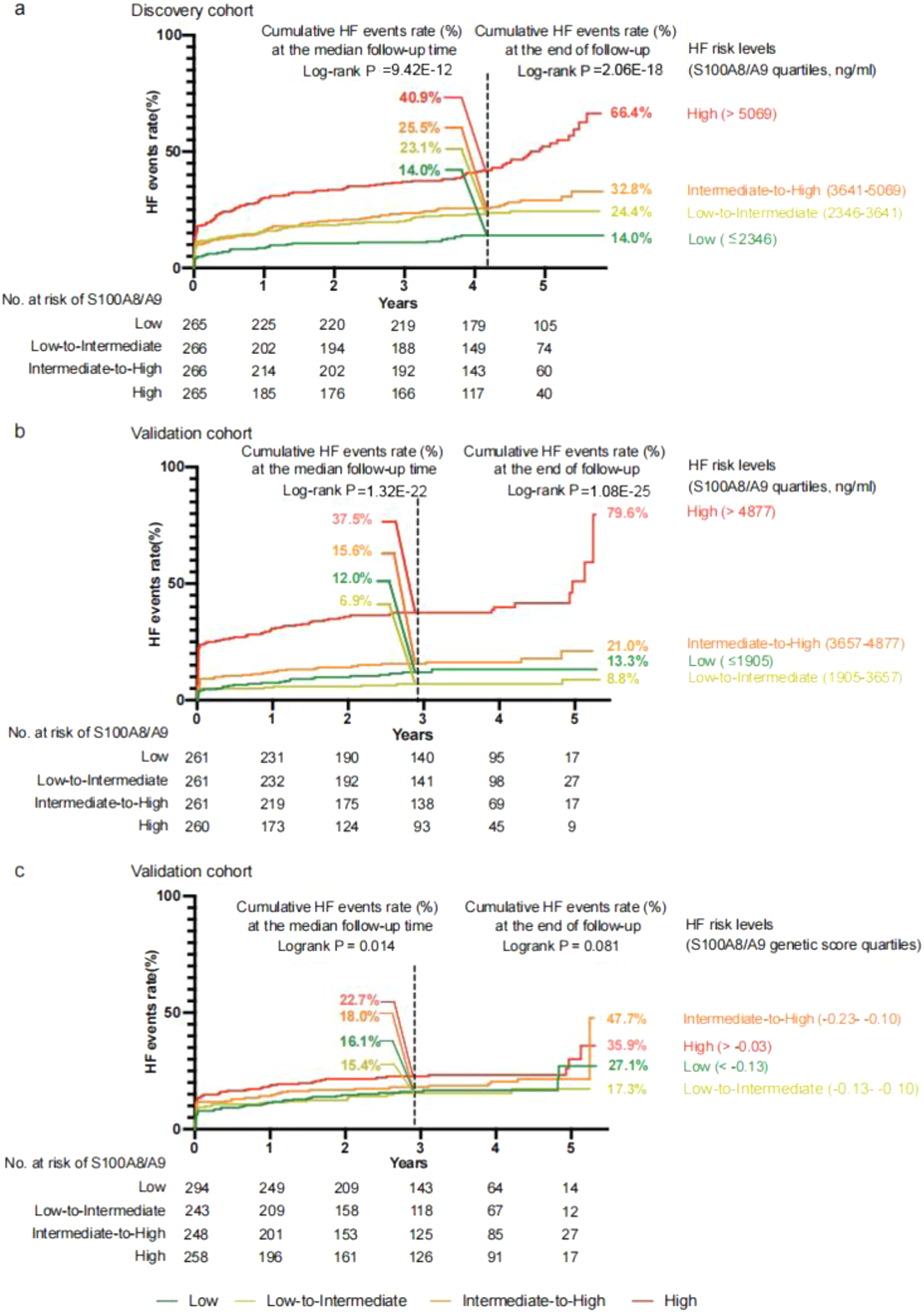 Fig. 3: Incidence of HF events according to S100A8/A9 levels and S100A8/A9 genetic score.