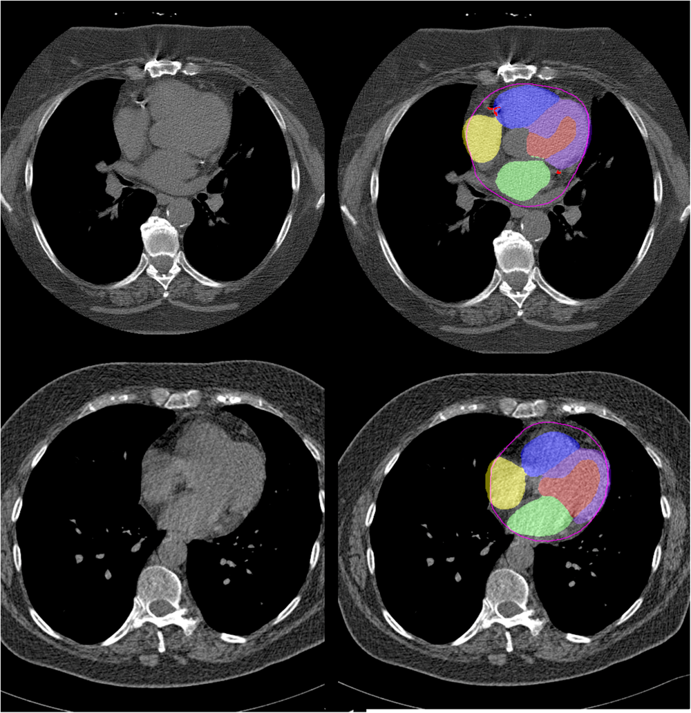 Fig. 3: Case examples.