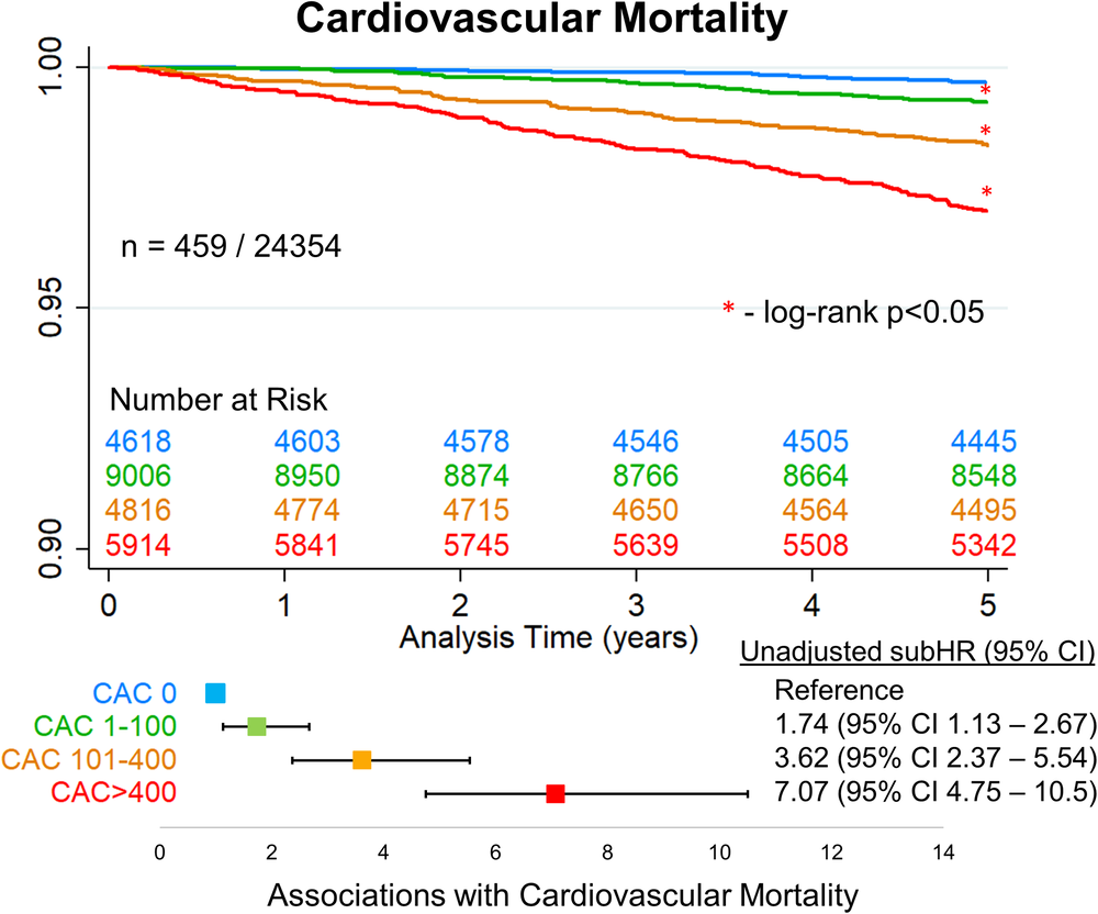 Fig. 4: Kaplan-Meier survival curves for cardiovascular mortality.