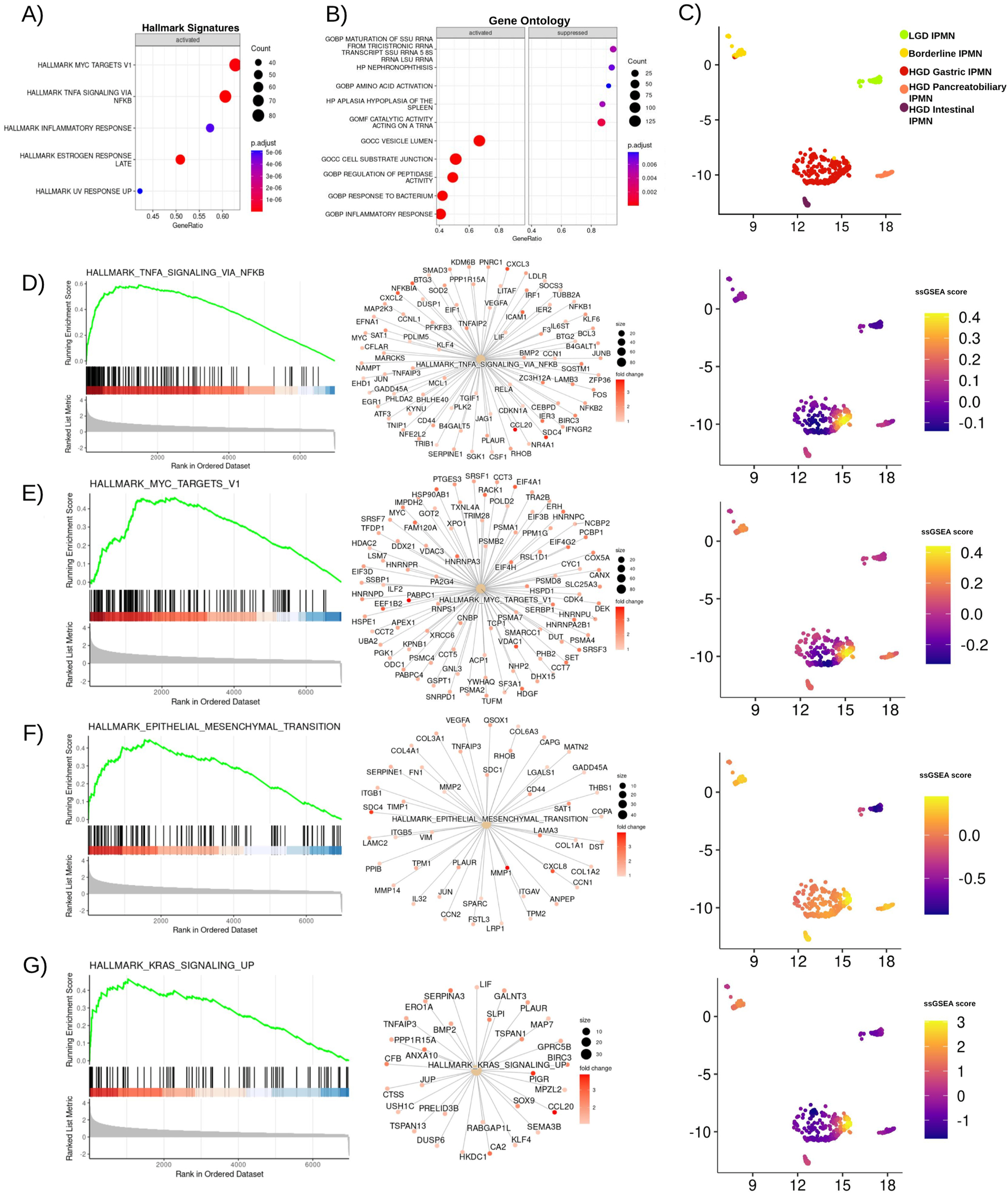 Fig. 4: GSEA results of comparison between HGD Gastric IPMN and LGD IPMN.