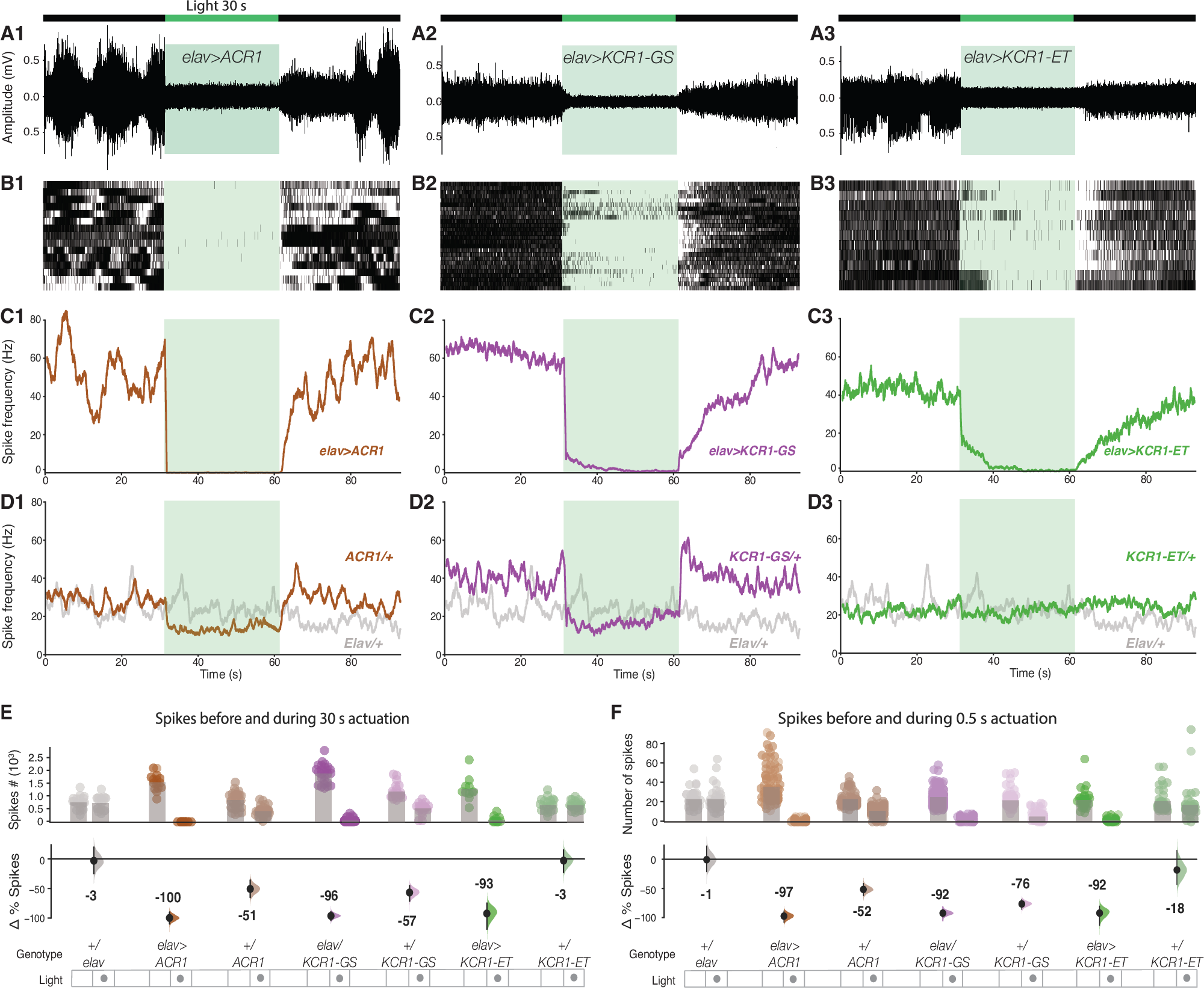 Fig. 4: Spontaneous spiking in a larval abdominal nerve is silenced by KCR1.