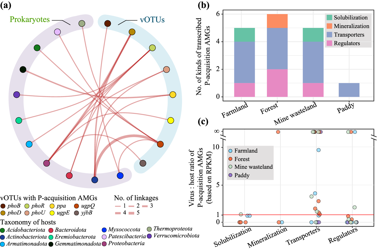Fig. 7: P-acquisition vOTU-host linkages and gene transcription profiles of P-acquisition AMGs.