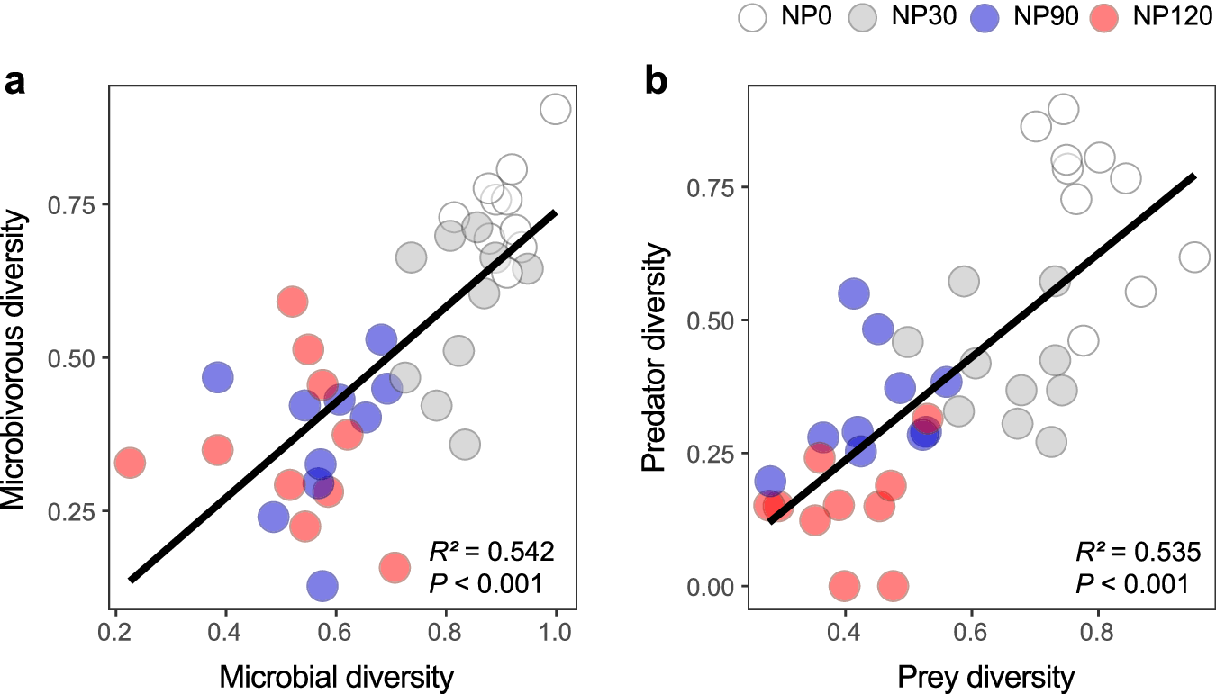 Fig. 3: Relationships between soil prey and predator diversity as influenced by nutrient enrichment.