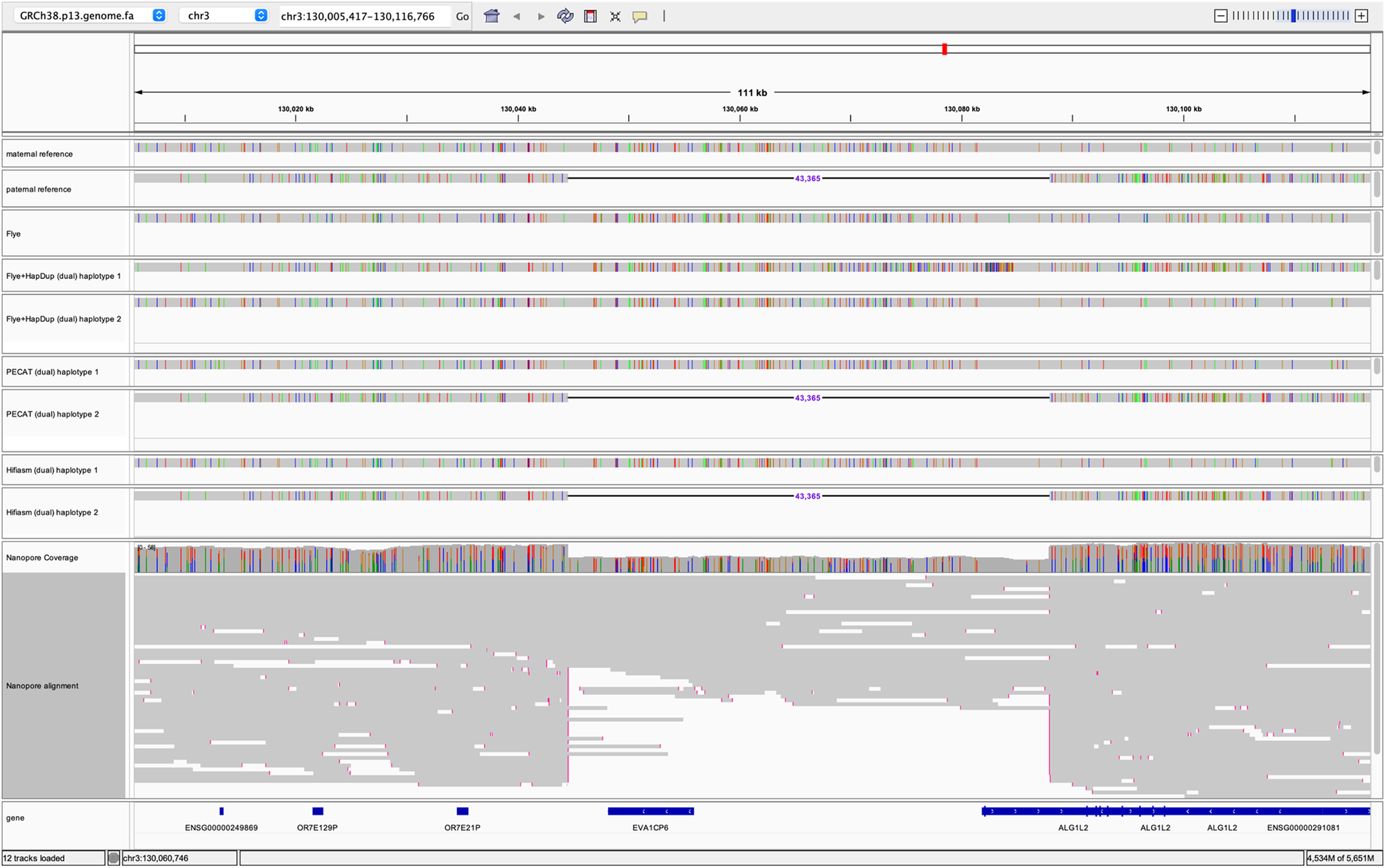 Fig. 4: Screenshot of HG002 reference, assembly and read alignment to GRCh38.