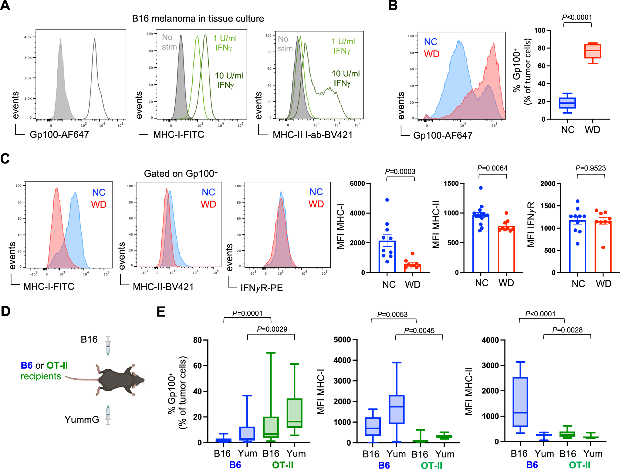 Fig. 4: Altered tumor immunoediting in obese hosts.