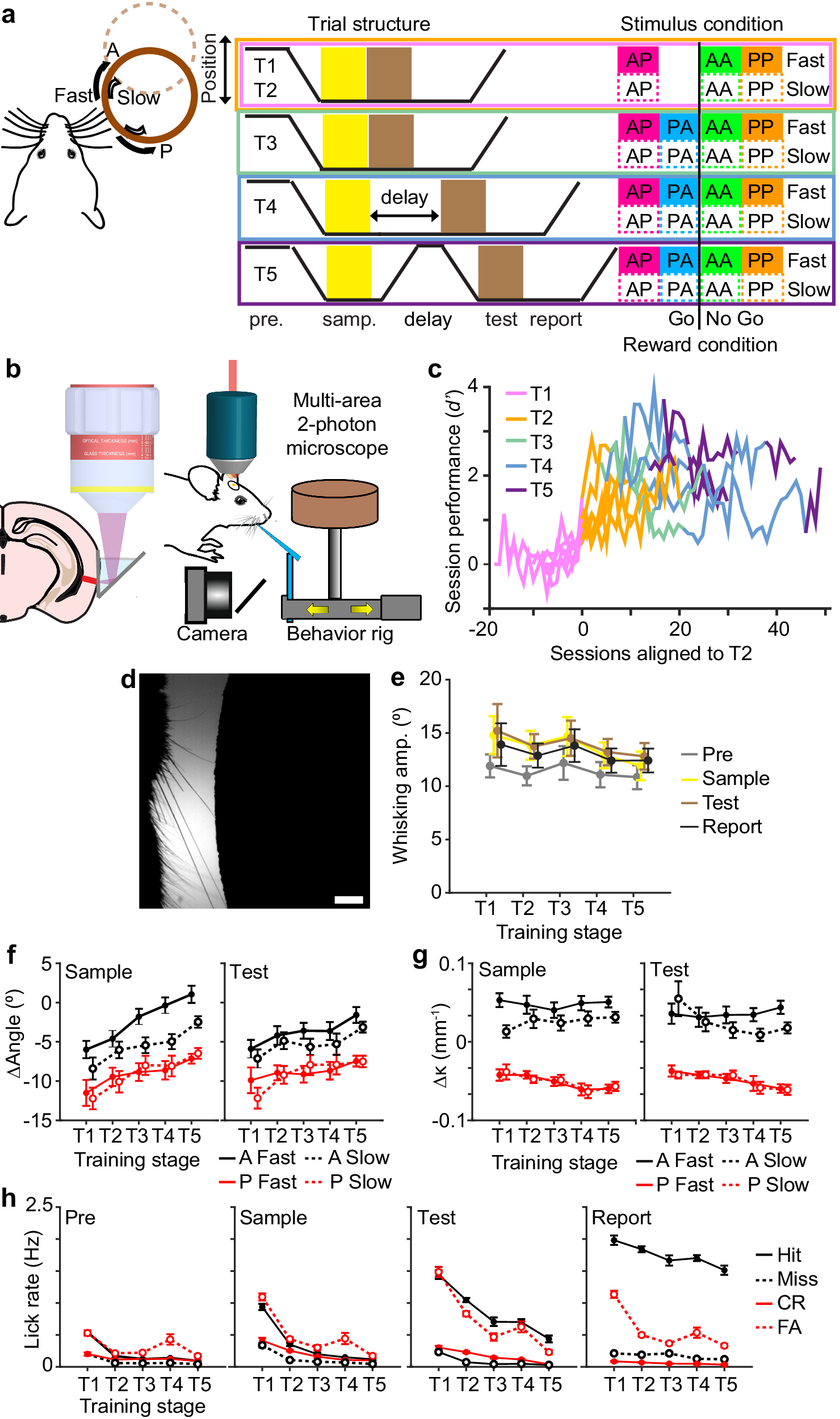 Fig. 1: Measuring behavioral correlates throughout task learning.