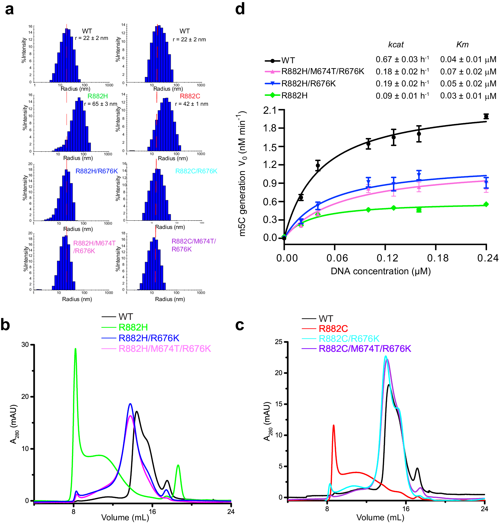 Fig. 4: Biochemical characterization of DNMT3B-converting mutations.