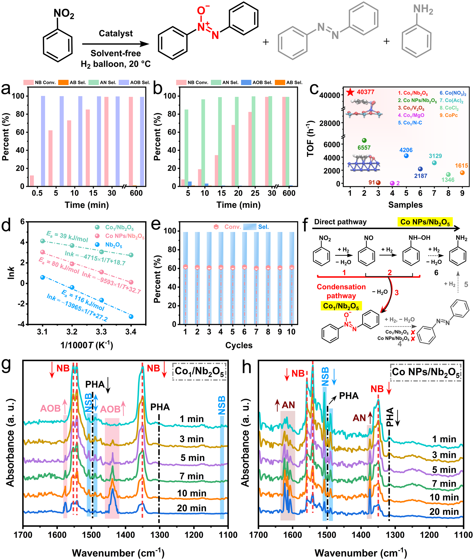 Fig. 4: Catalytic performance of Co1/Nb2O5 in the solvent-free selective hydrogenation of nitrobenzene to azoxybenzene.