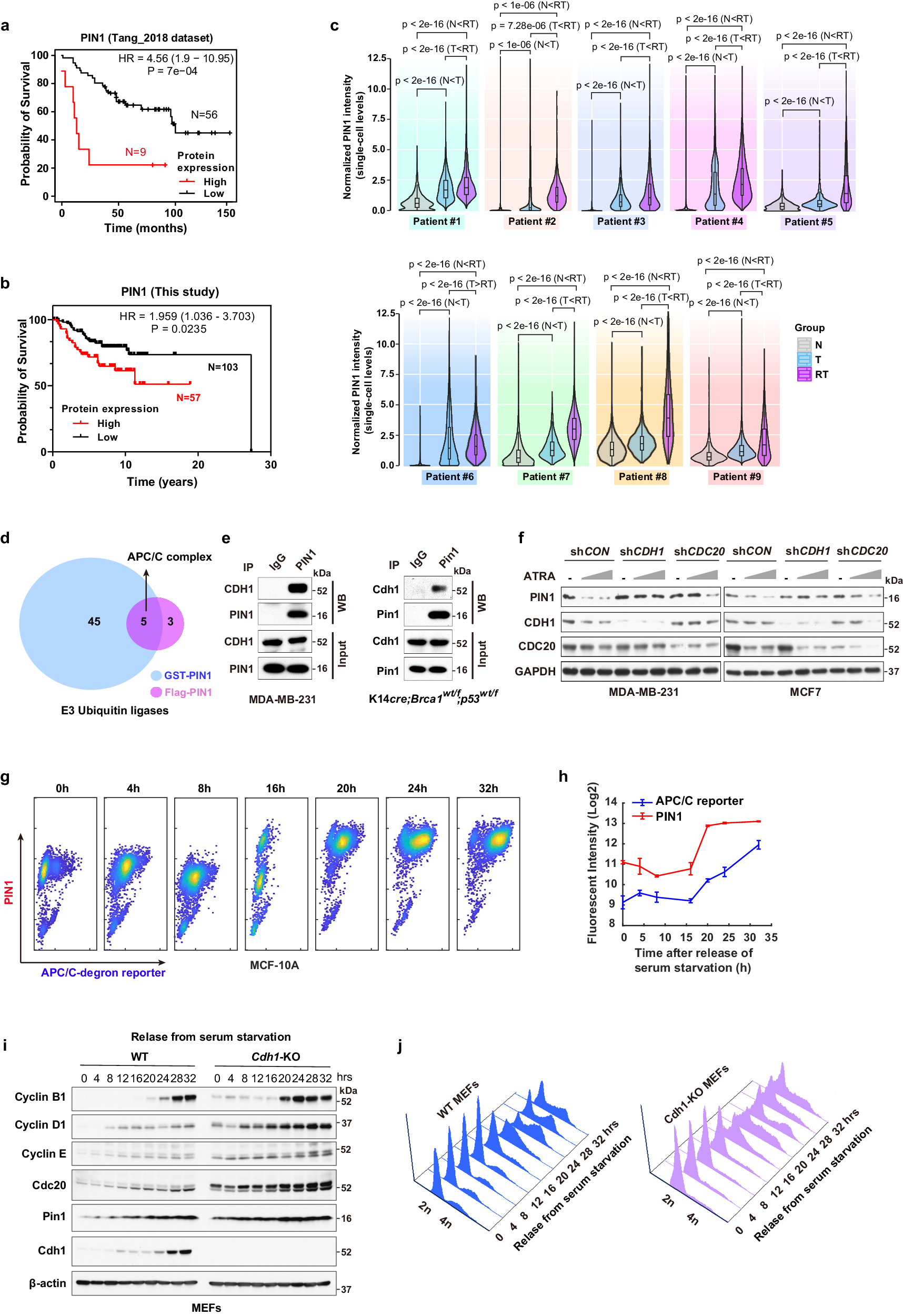 glutathione agarose g4510 USP13 depletion sensitizes colorectal cancer cells to necroptosis by destabilizing cIAP2 proteins Has a shelf life of two years if stored properly desiccated at Frontiers | Soluble N-Ethylmaleimide-Sensitive Factor